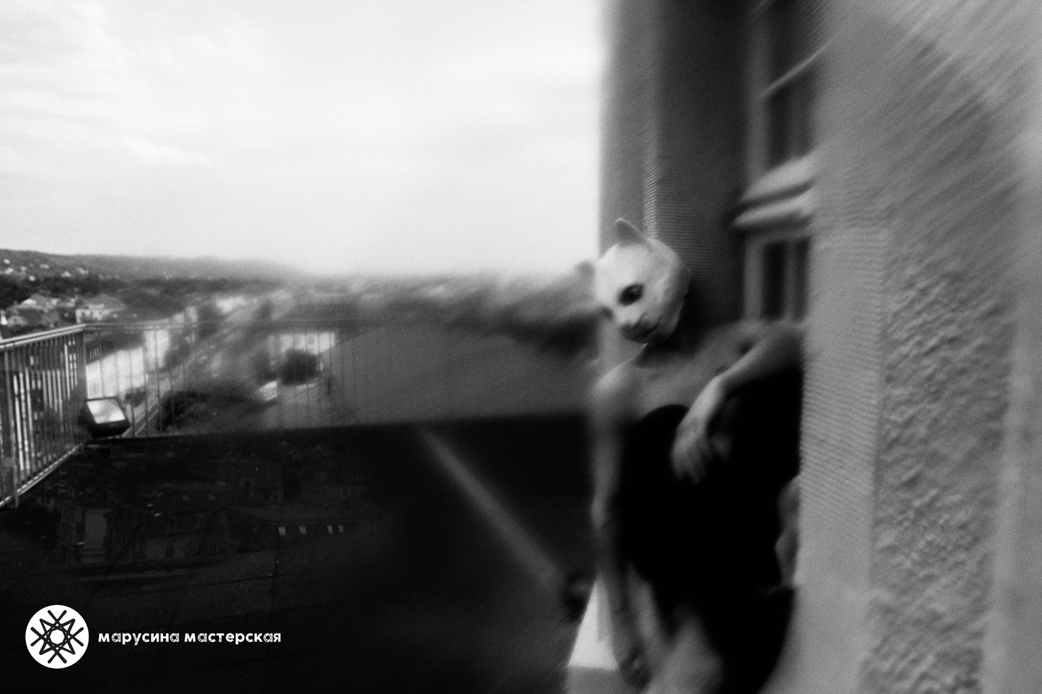 Виктория Беликова