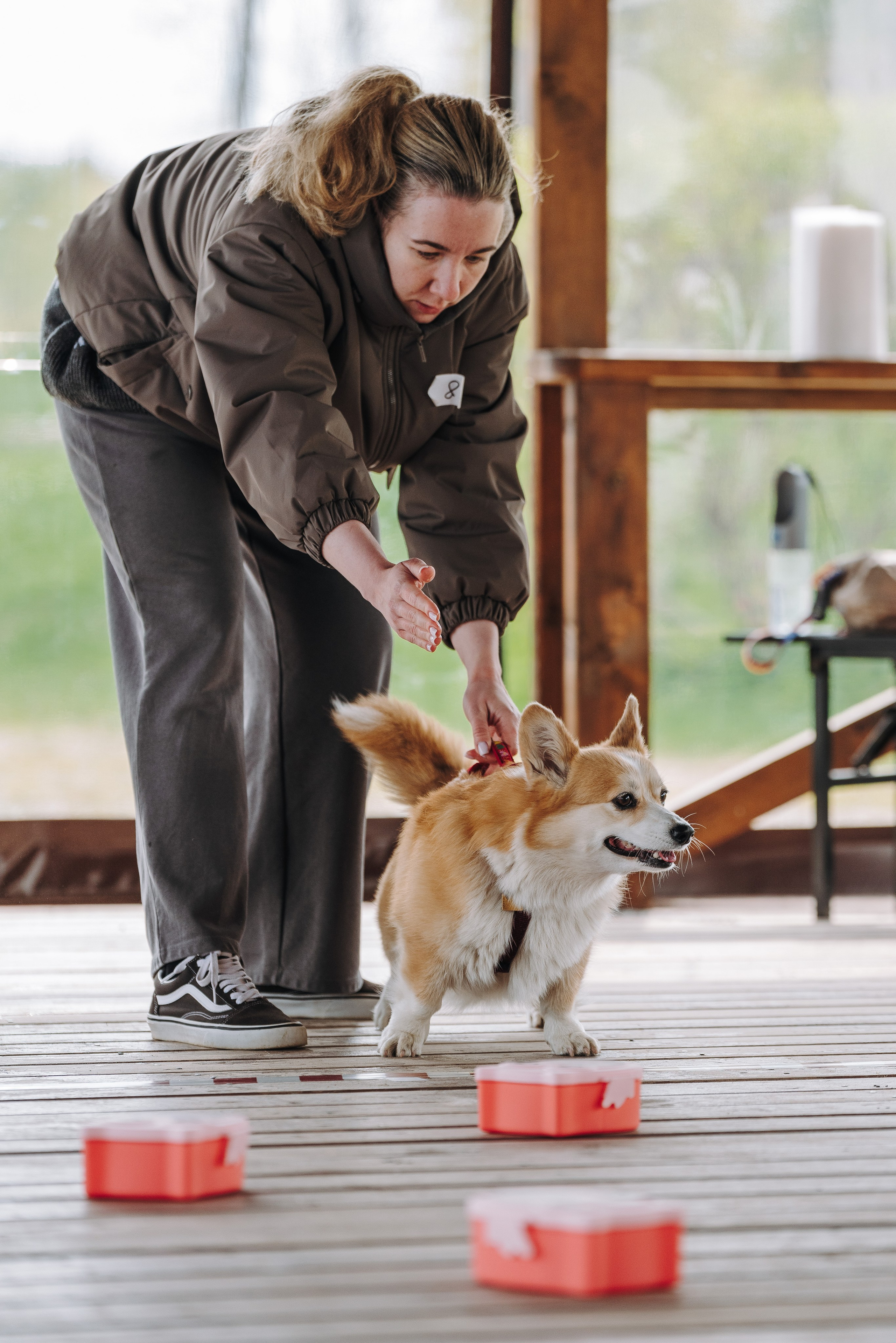 Соревнования по ноузворку в Лосево. Фотограф анималист в Спб недорого Олеся Майорова