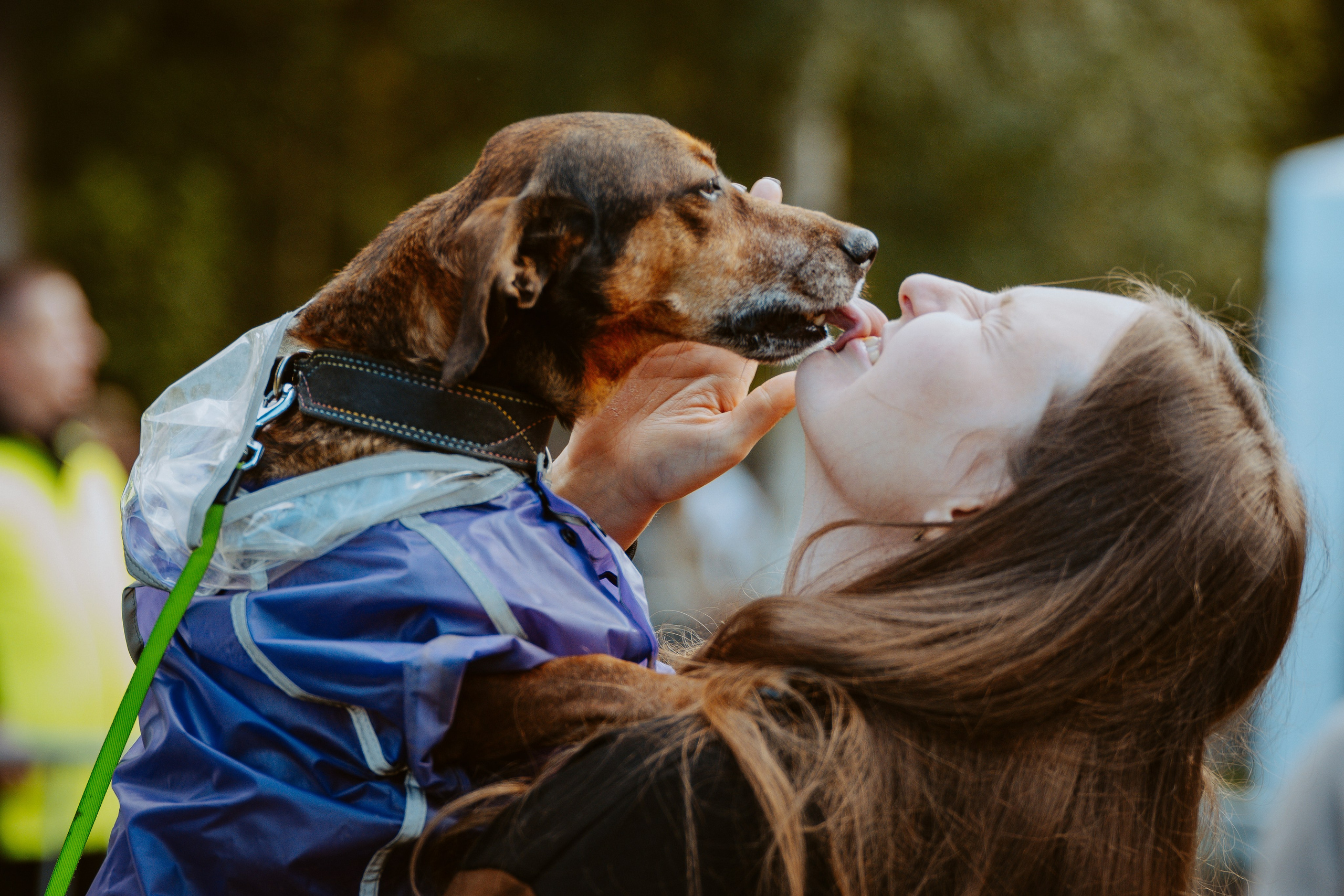 Такспарад. Фотограф анималист в Спб недорого Олеся Майорова
