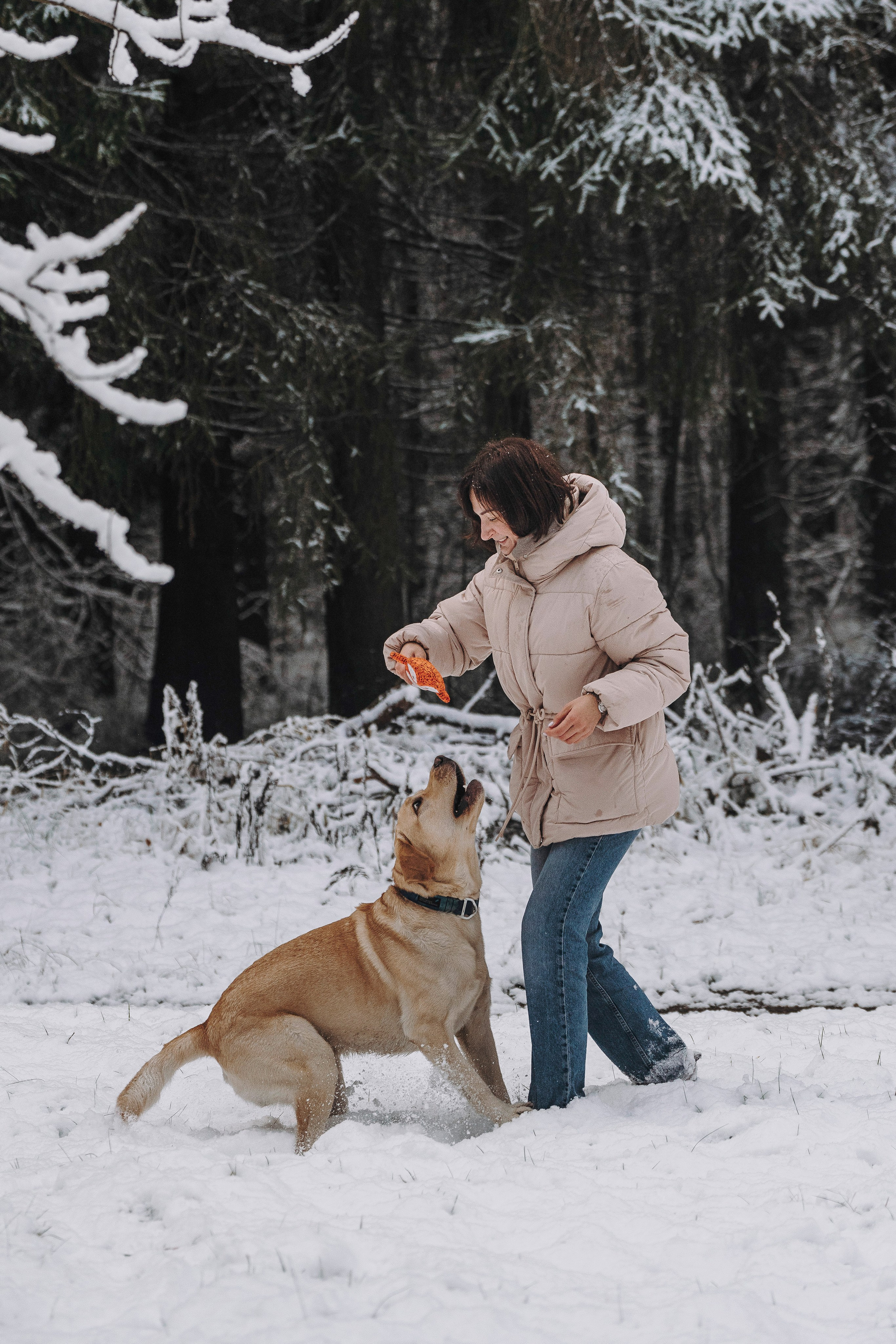 Аня и Честер. Фотограф анималист в Спб недорого Олеся Майорова