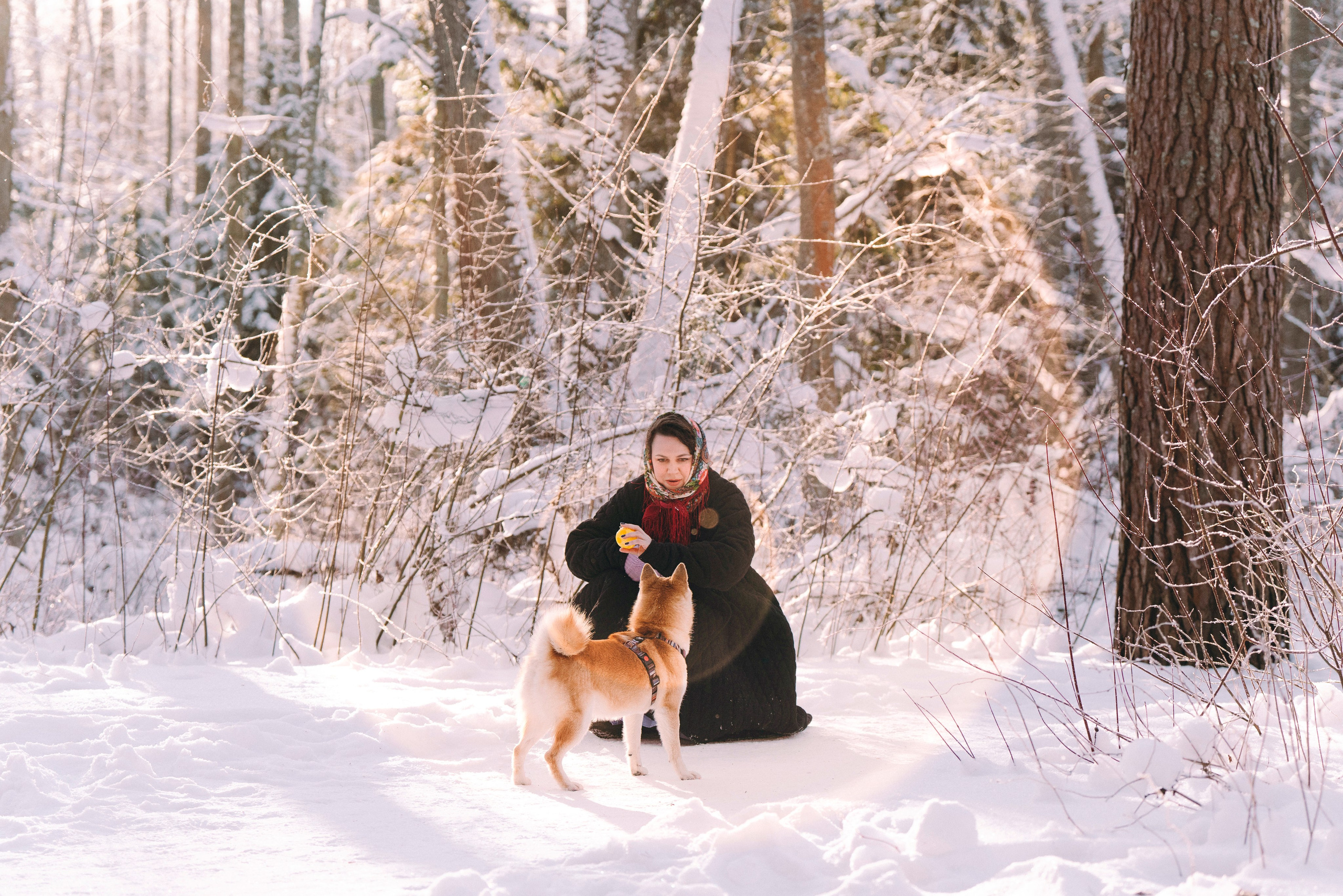 Каори, Анна и Антон. Фотограф анималист в Спб недорого Олеся Майорова