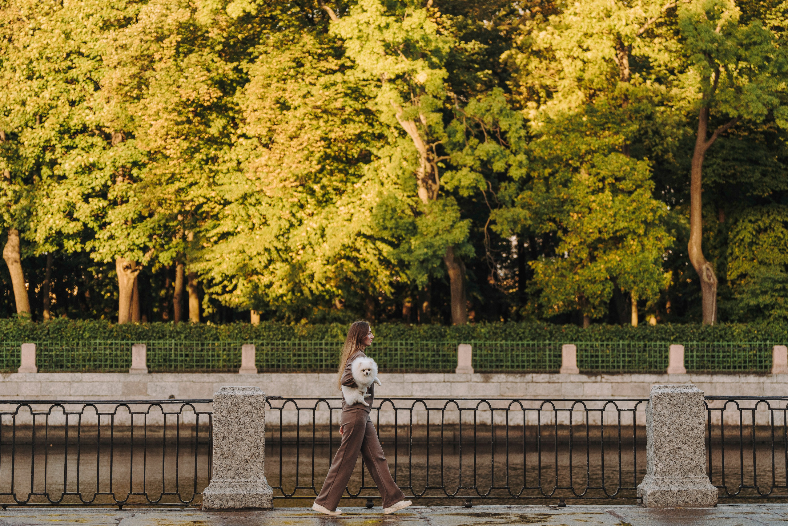 Фотосессия с померанским шпицем. Фотограф анималист в Спб недорого Олеся Майорова