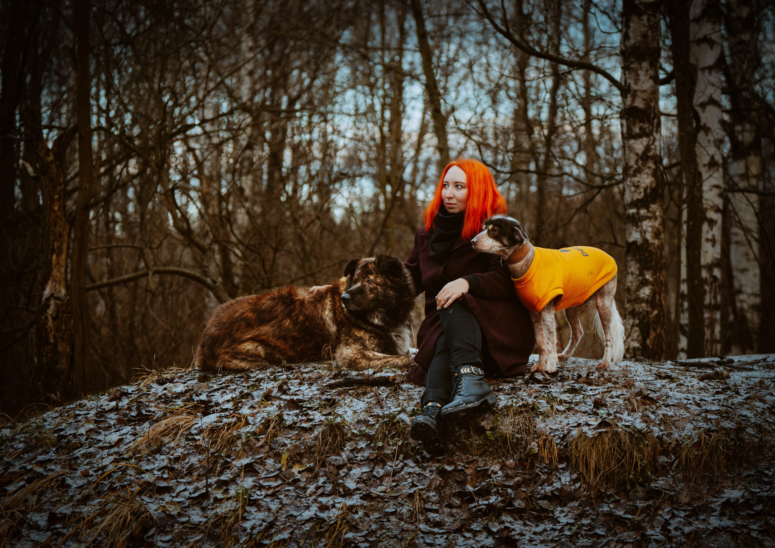 Творческая фотосессия фотографа анималиста. Фотограф анималист в Спб недорого Олеся Майорова