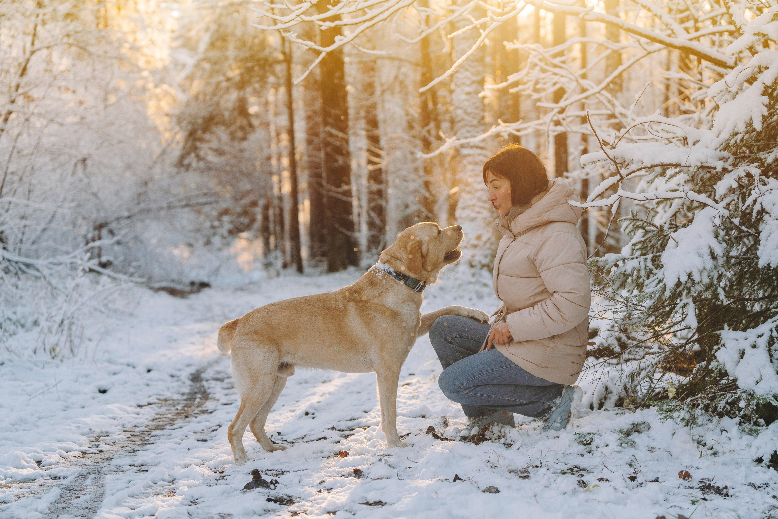 Аня и Честер. Фотограф анималист в Спб недорого Олеся Майорова