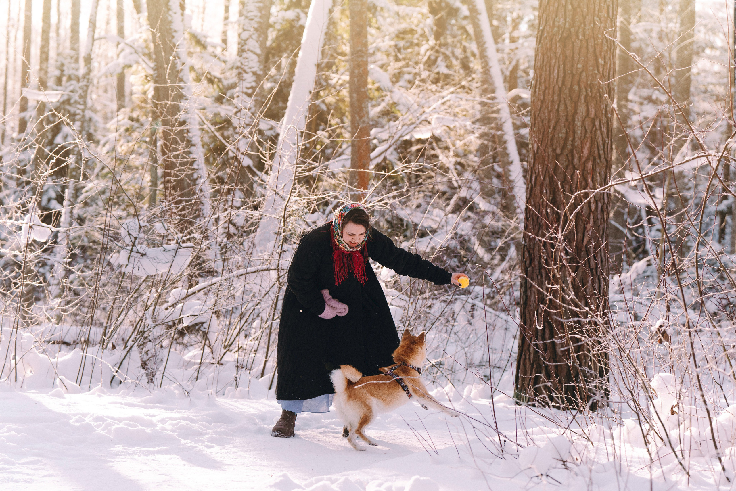 Каори, Анна и Антон. Фотограф анималист в Спб недорого Олеся Майорова