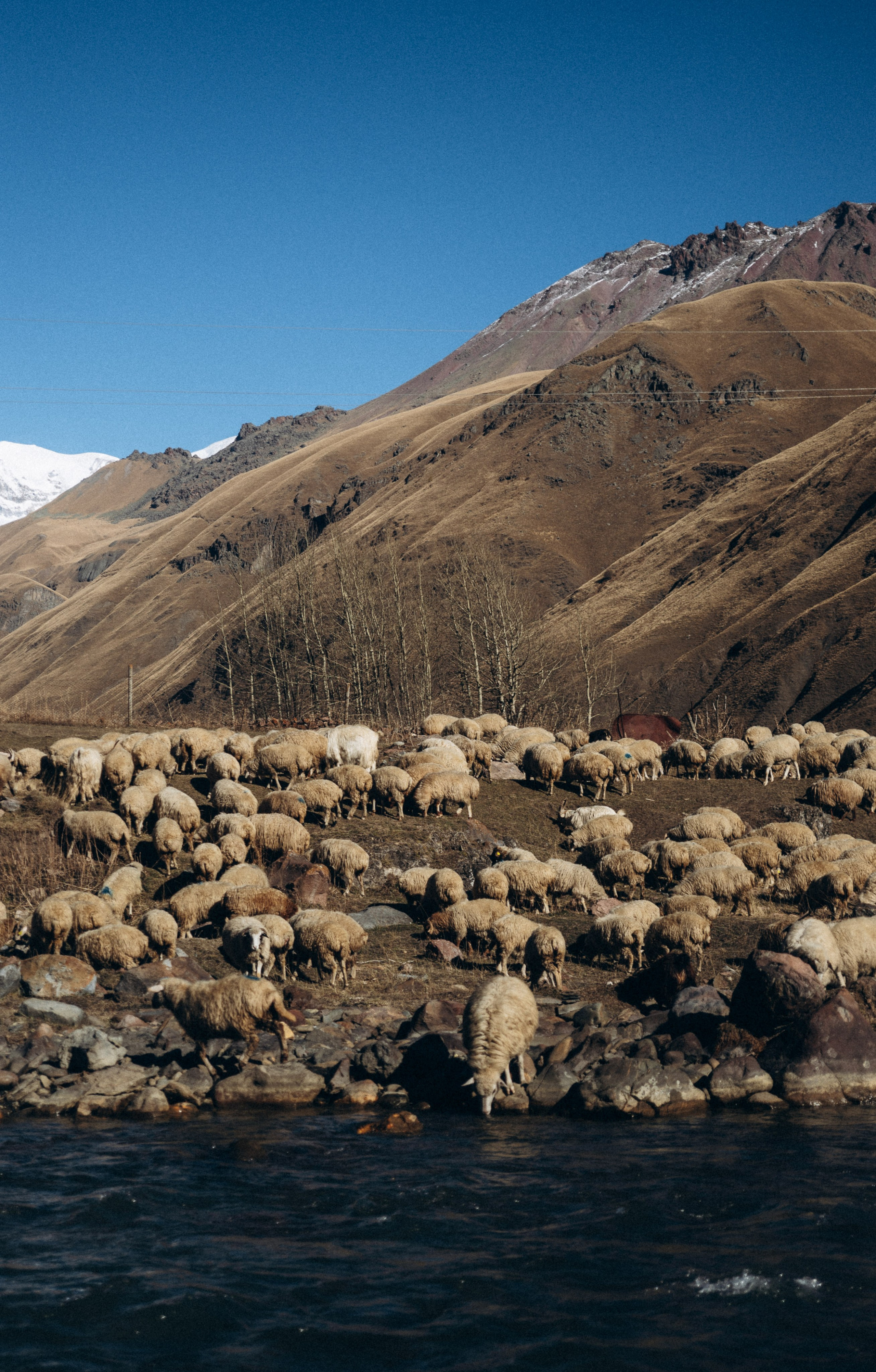 Долина Труссо, Грузия 🇬🇪 «PVD Club». Anita_photo