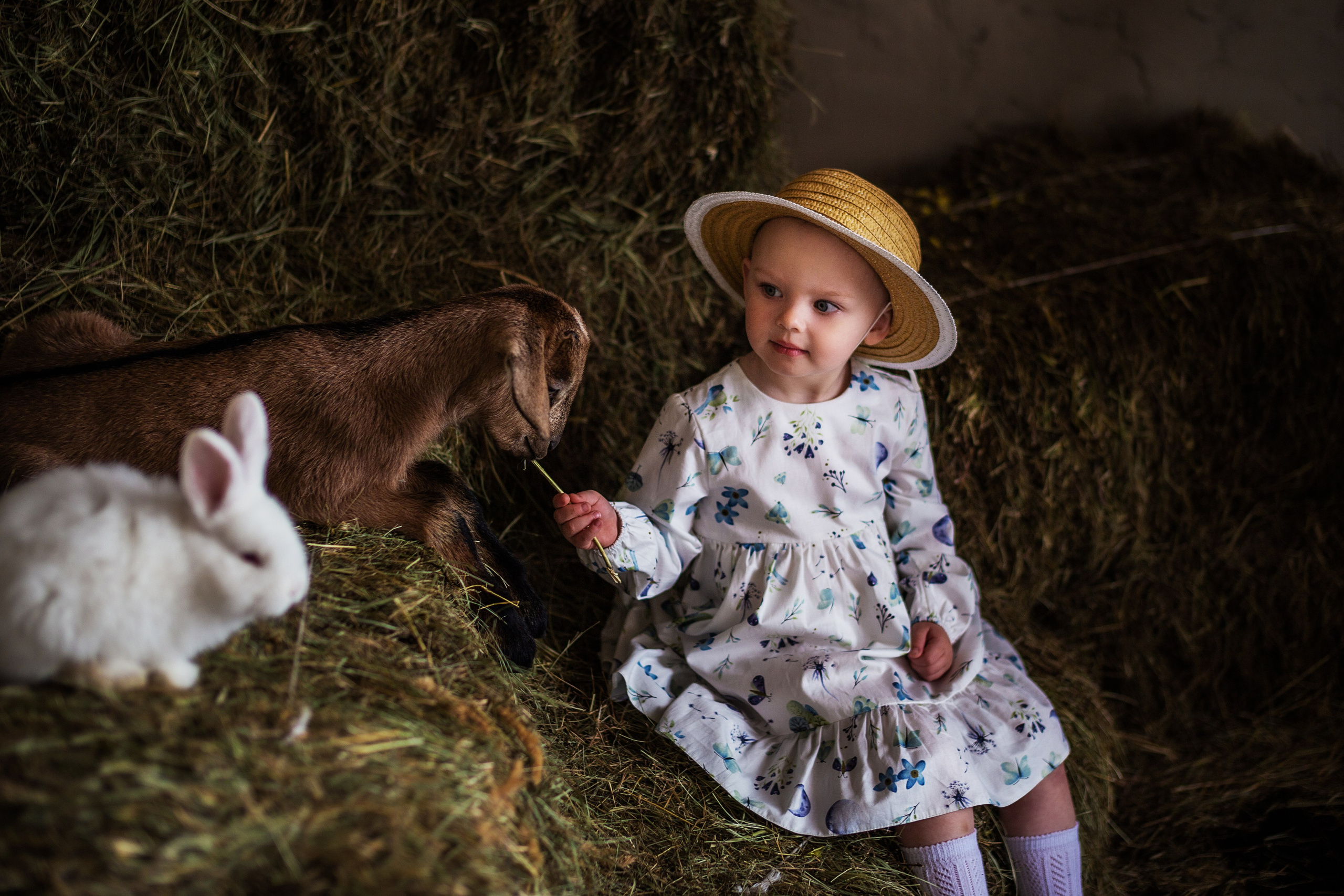 Дети и животные…самый милый альбом. Семейный фотограф в Саратове