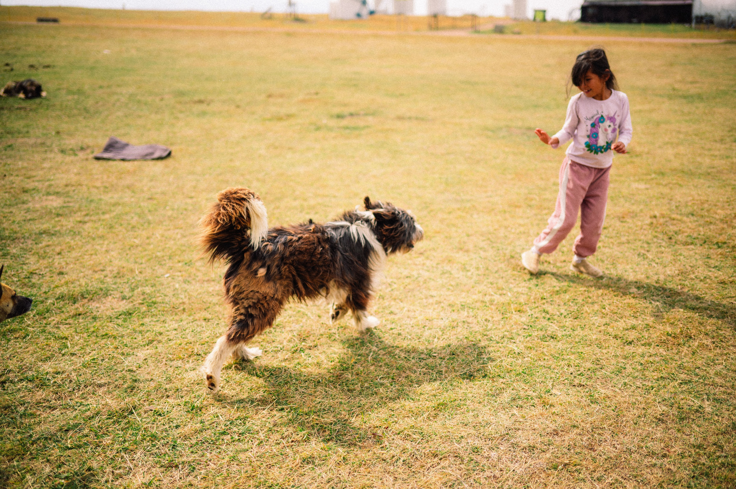 Плато Ассы: июль 2025. Фотограф в Алматы — Дарья Фёдорова