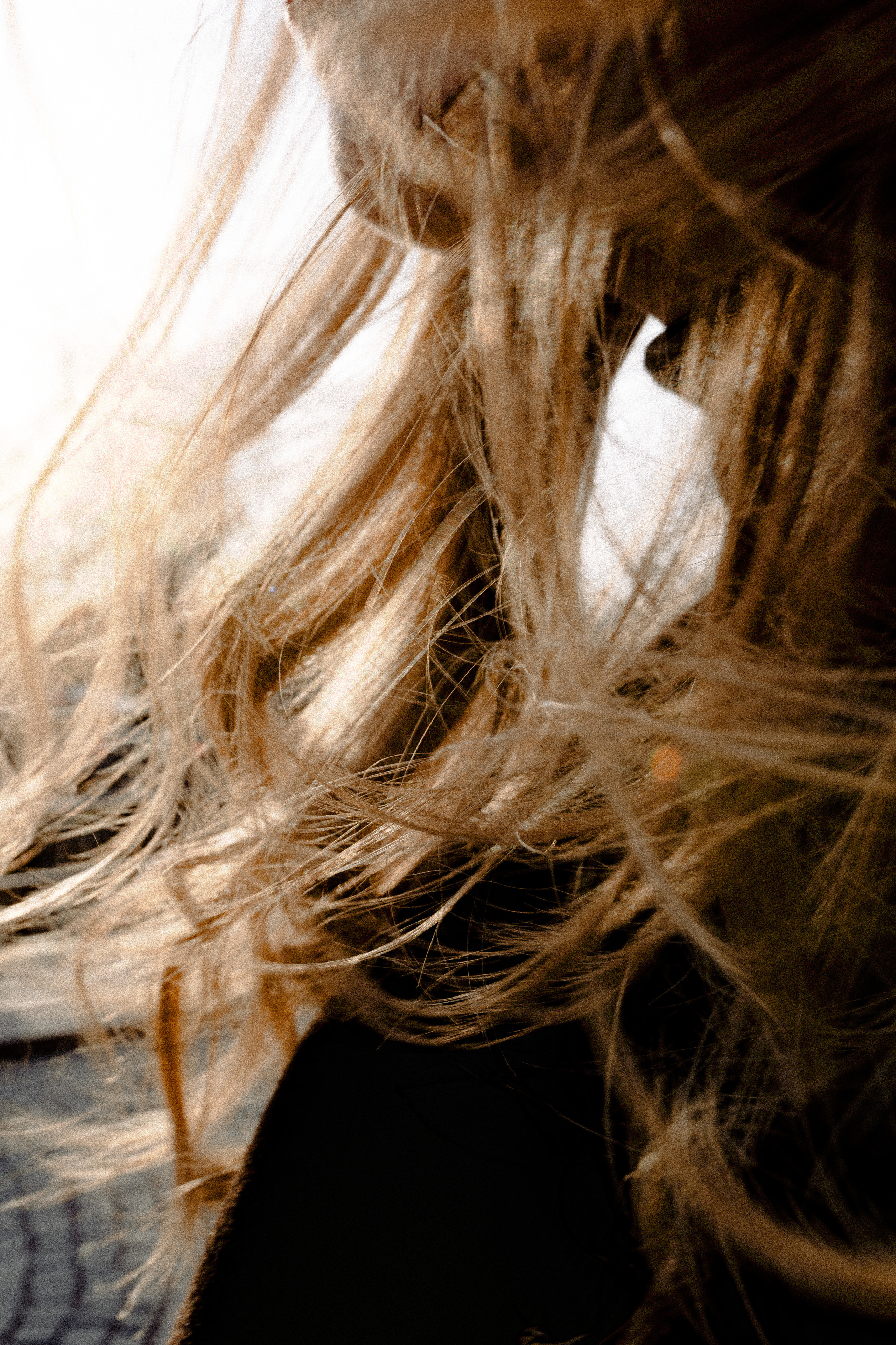 Diana. Съёмка влюблённых в Санкт-Петербурге Ксения Чердакова, парный фотограф