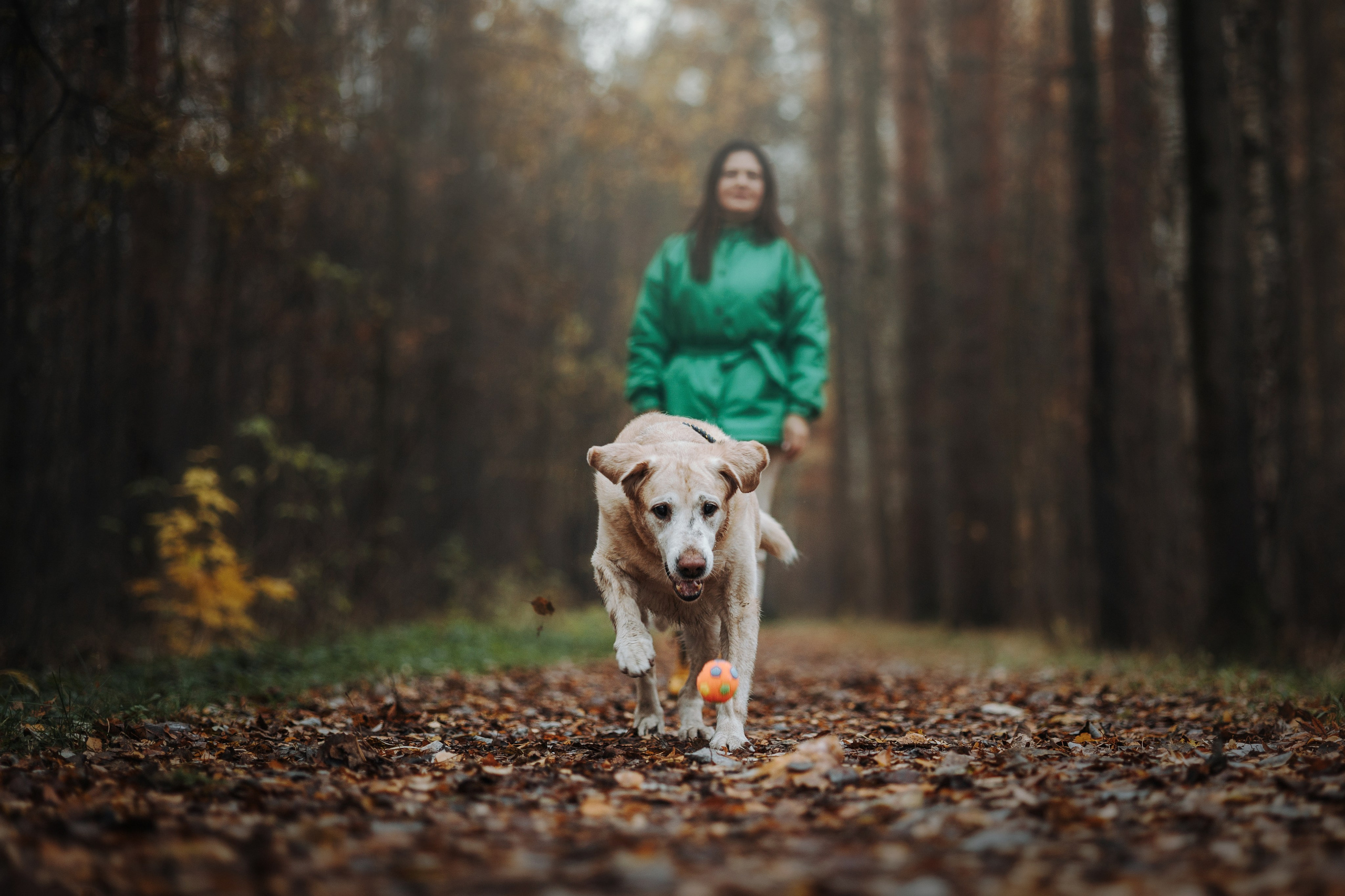 Оксана и Барон. Фотограф — Анималист | Санкт-Петербург
