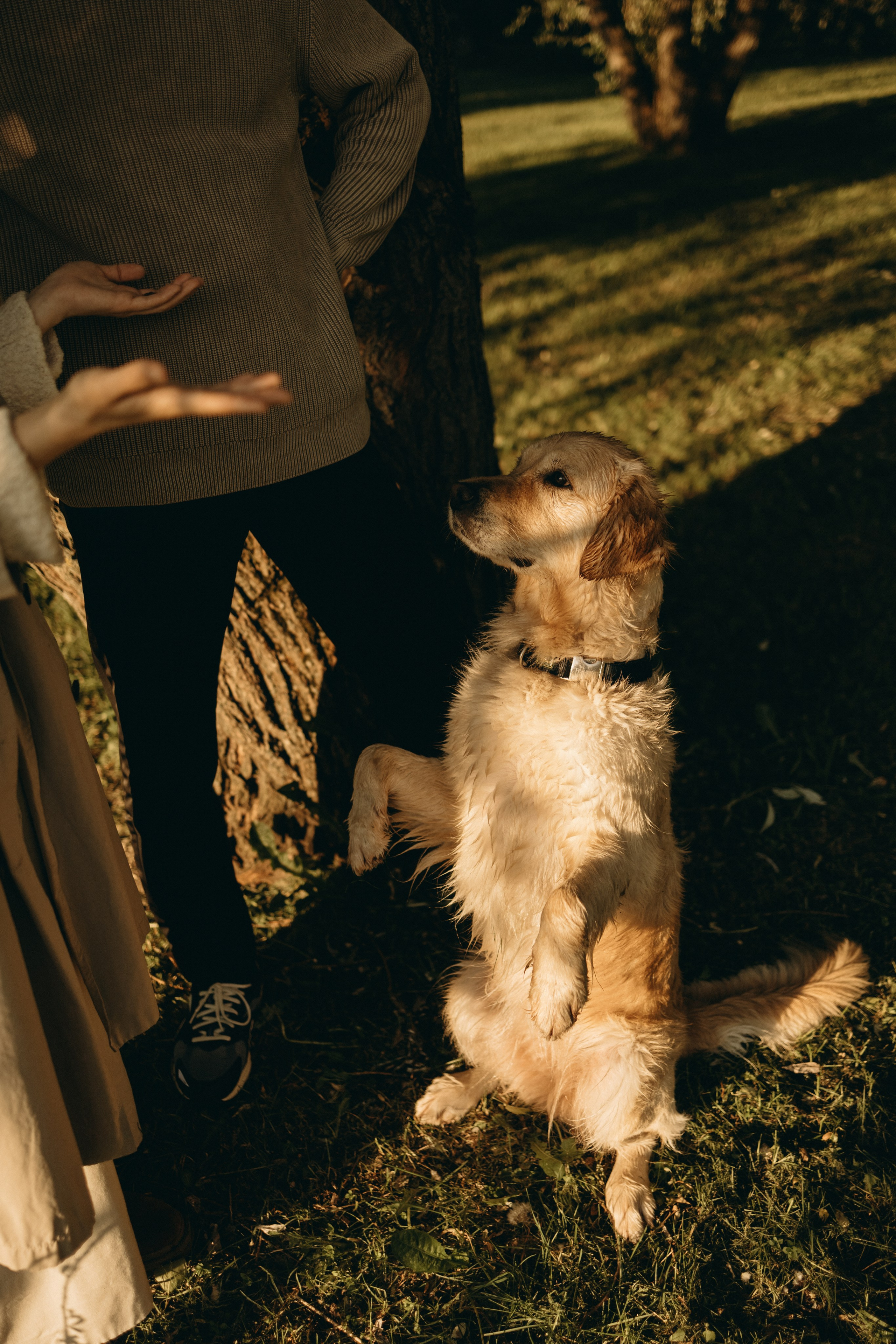 Пенни и ребята. Фотограф — Анималист | Санкт-Петербург