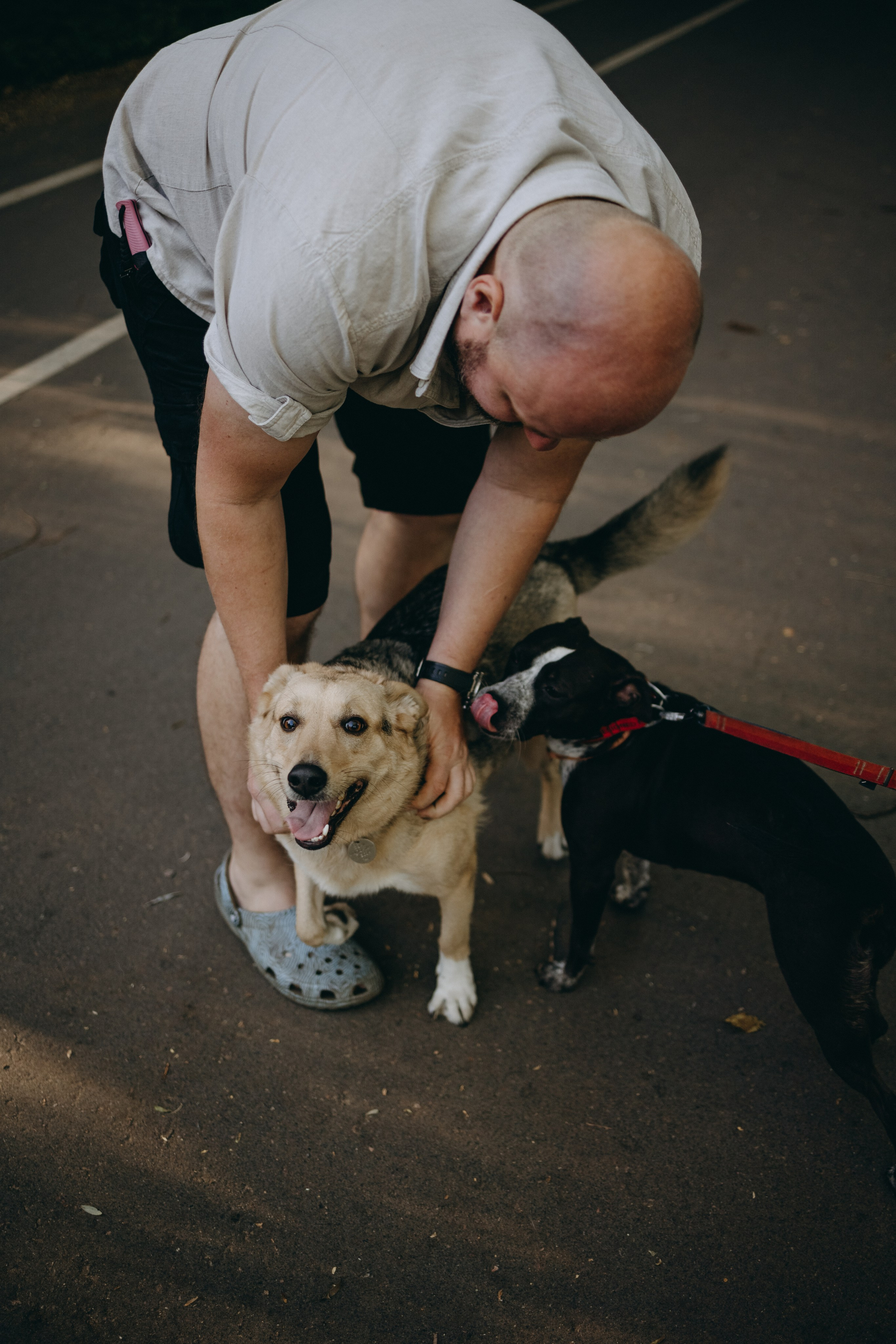 Татьяна, Сергей и их Булочка и Пончик. Фотограф — Анималист | Санкт-Петербург