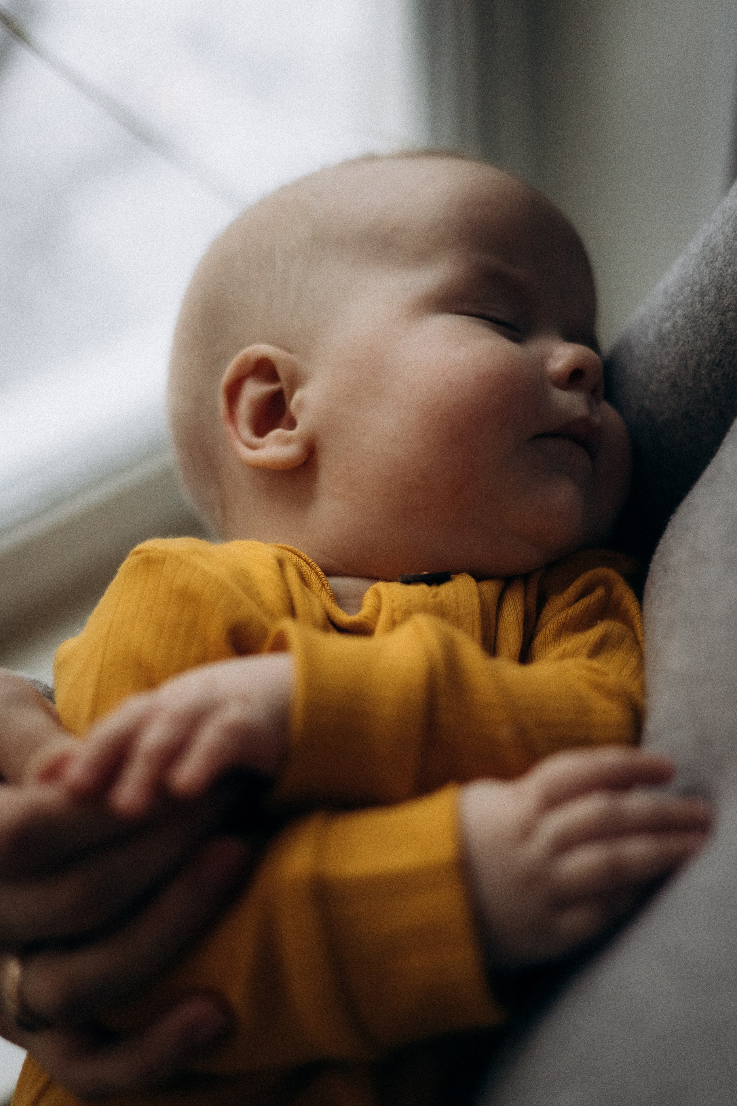 Вова и Данила