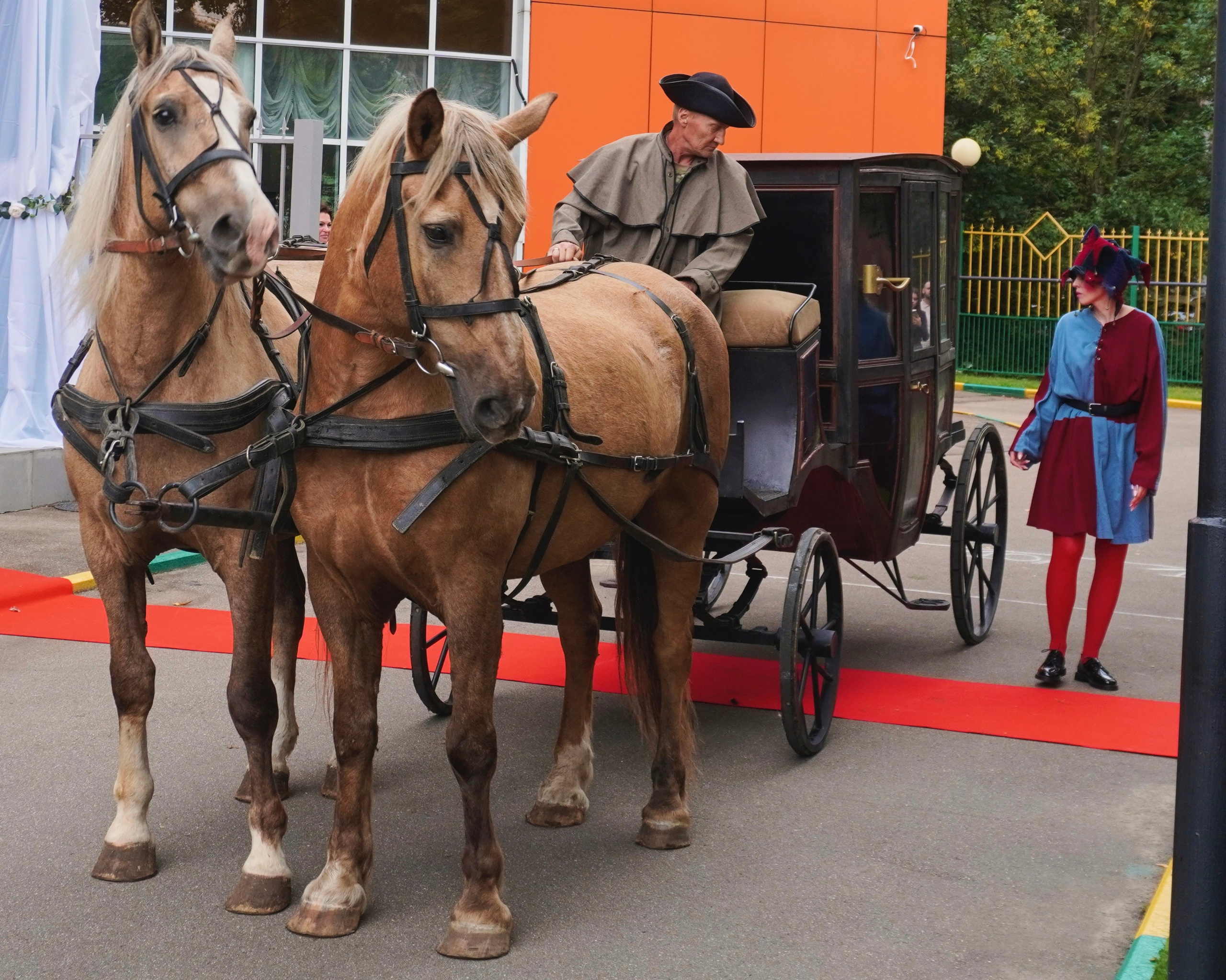 Репортажи. ALIZHURR