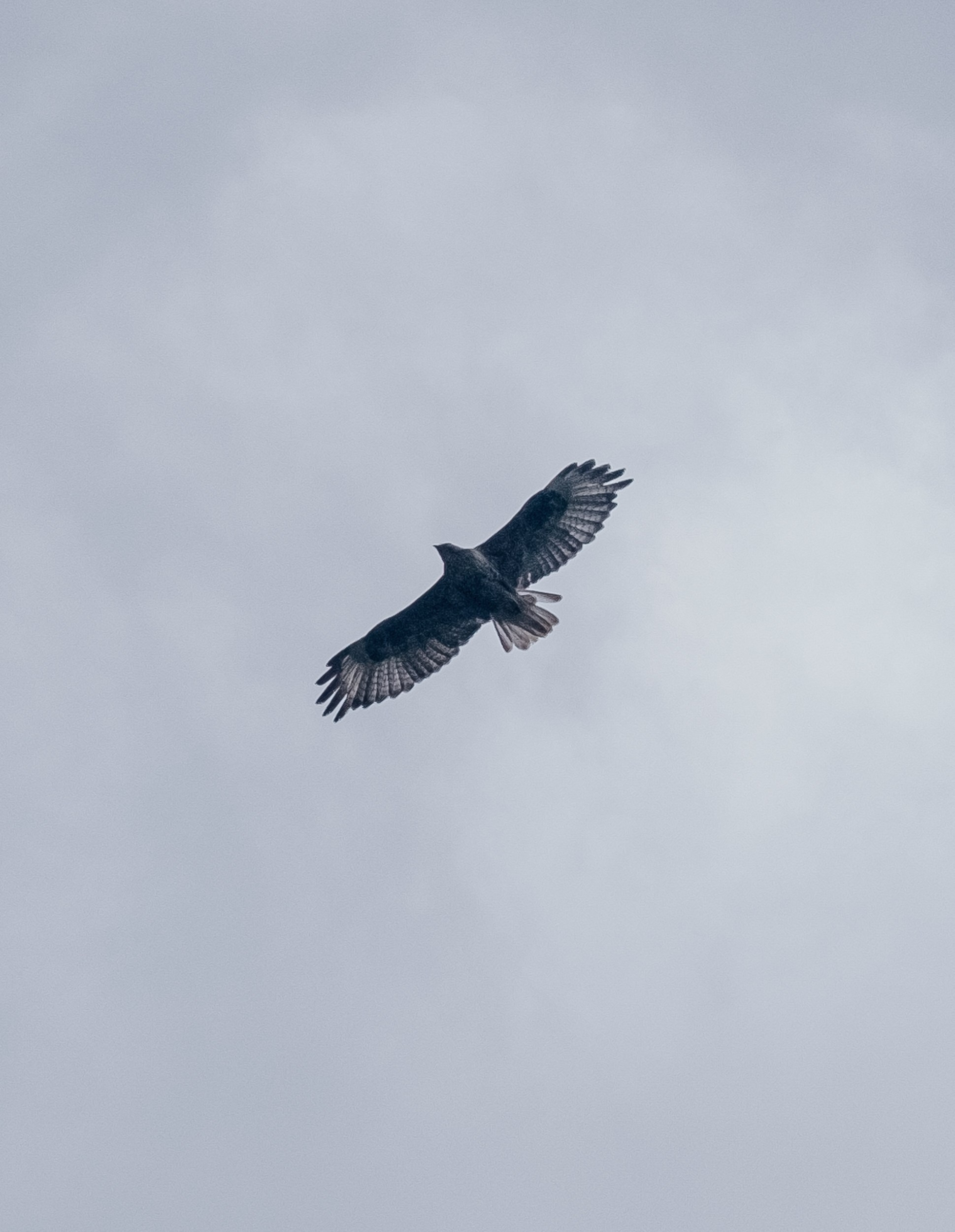 Кыргызстан. Фотограф Дмитрий Олрайт | Калуга, Россия