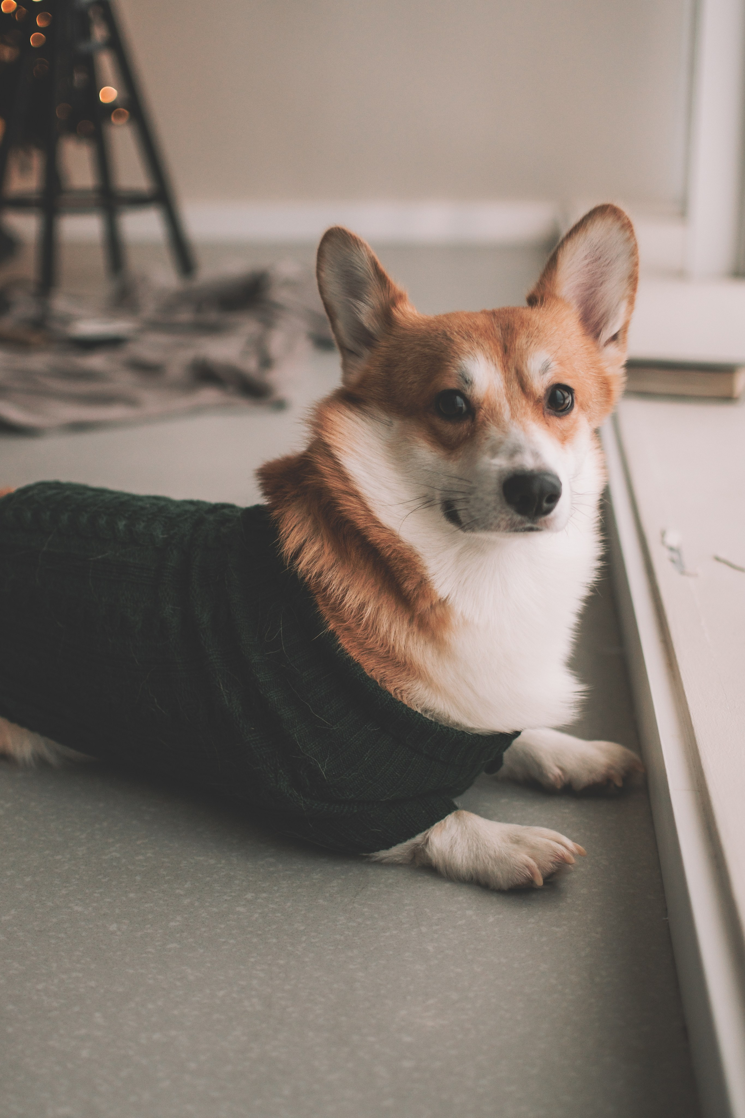Евгения+Милкис. Семейный и свадебный фотограф Губкинский и Ставрополь