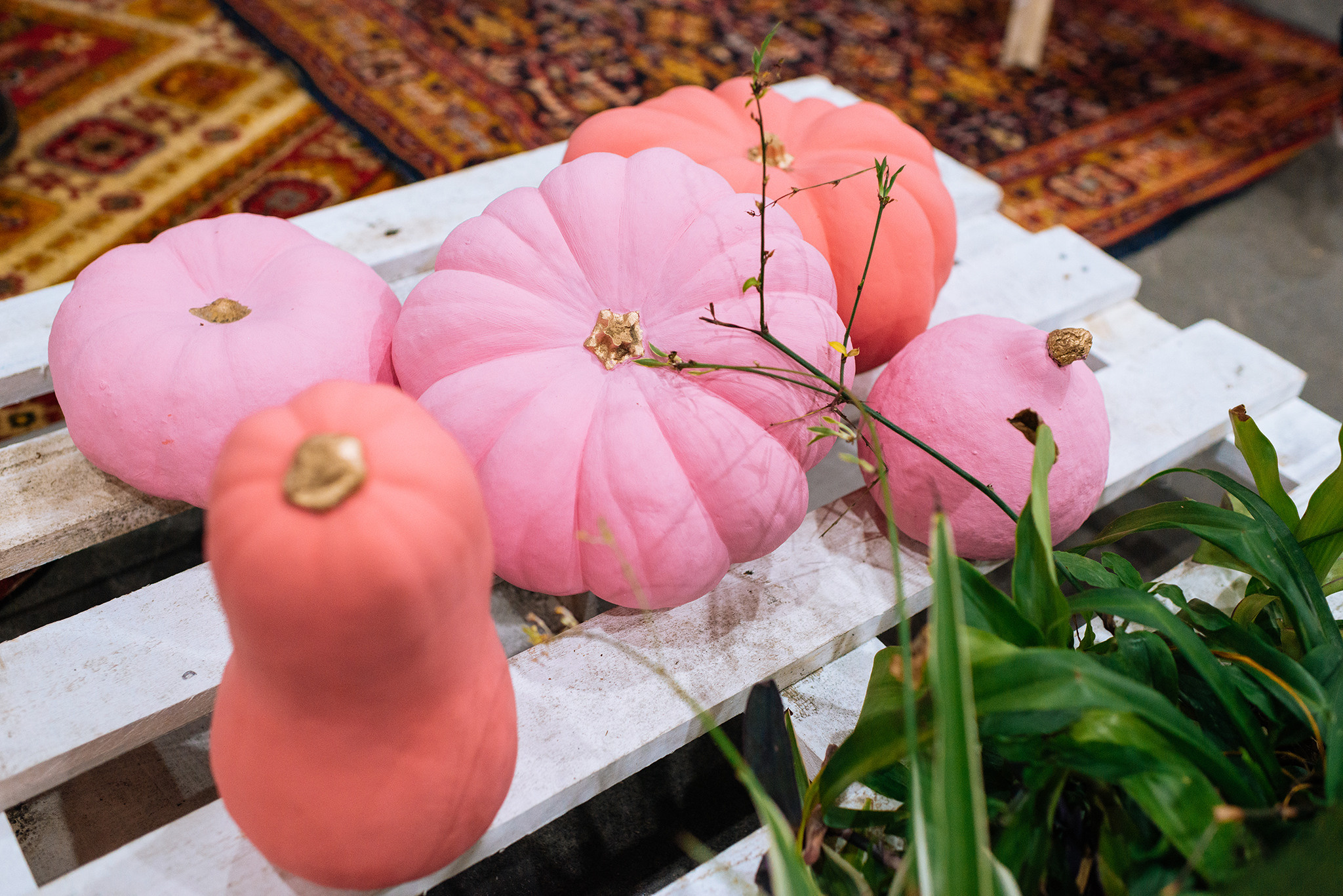 Интеллигентная барахолка. Октябрь 22. Репортажный фотограф в Санкт-Петербурге Анастасия Клёпова