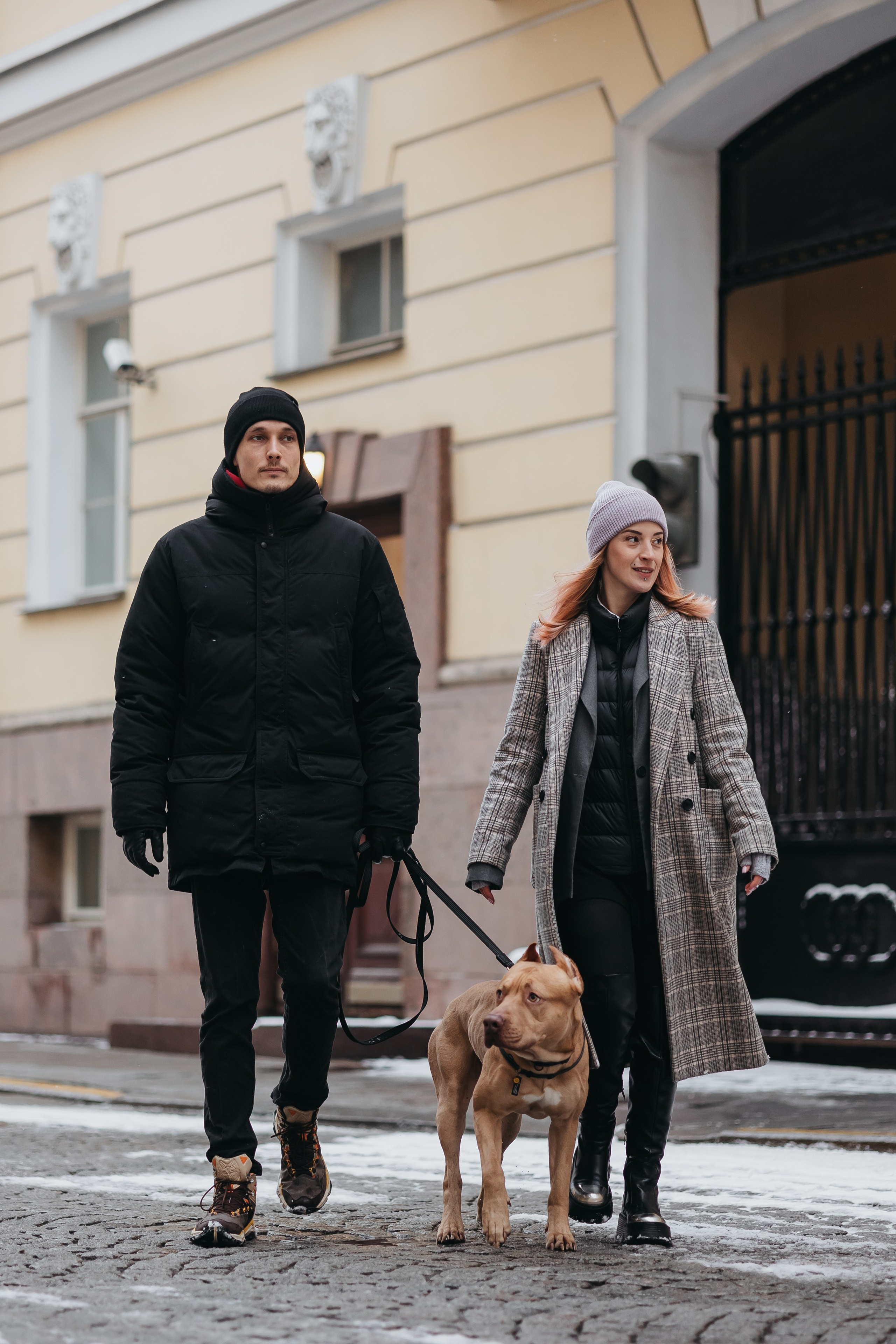 Саша, Света и Ицар. Фотограф-анималист в Санкт-Петербурге Алина Яхонт