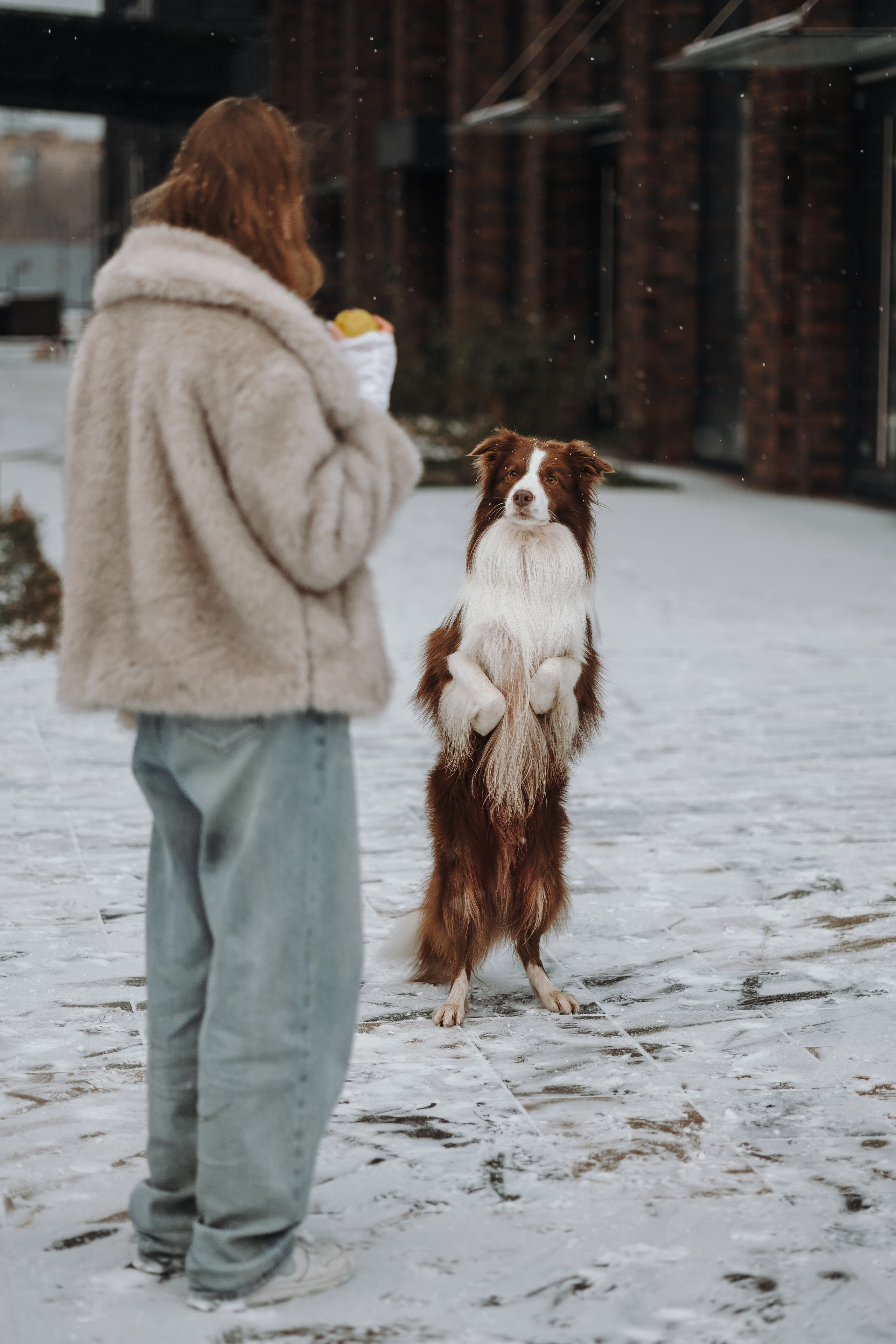Маша и Брауни. Фотограф-анималист в Санкт-Петербурге Алина Яхонт