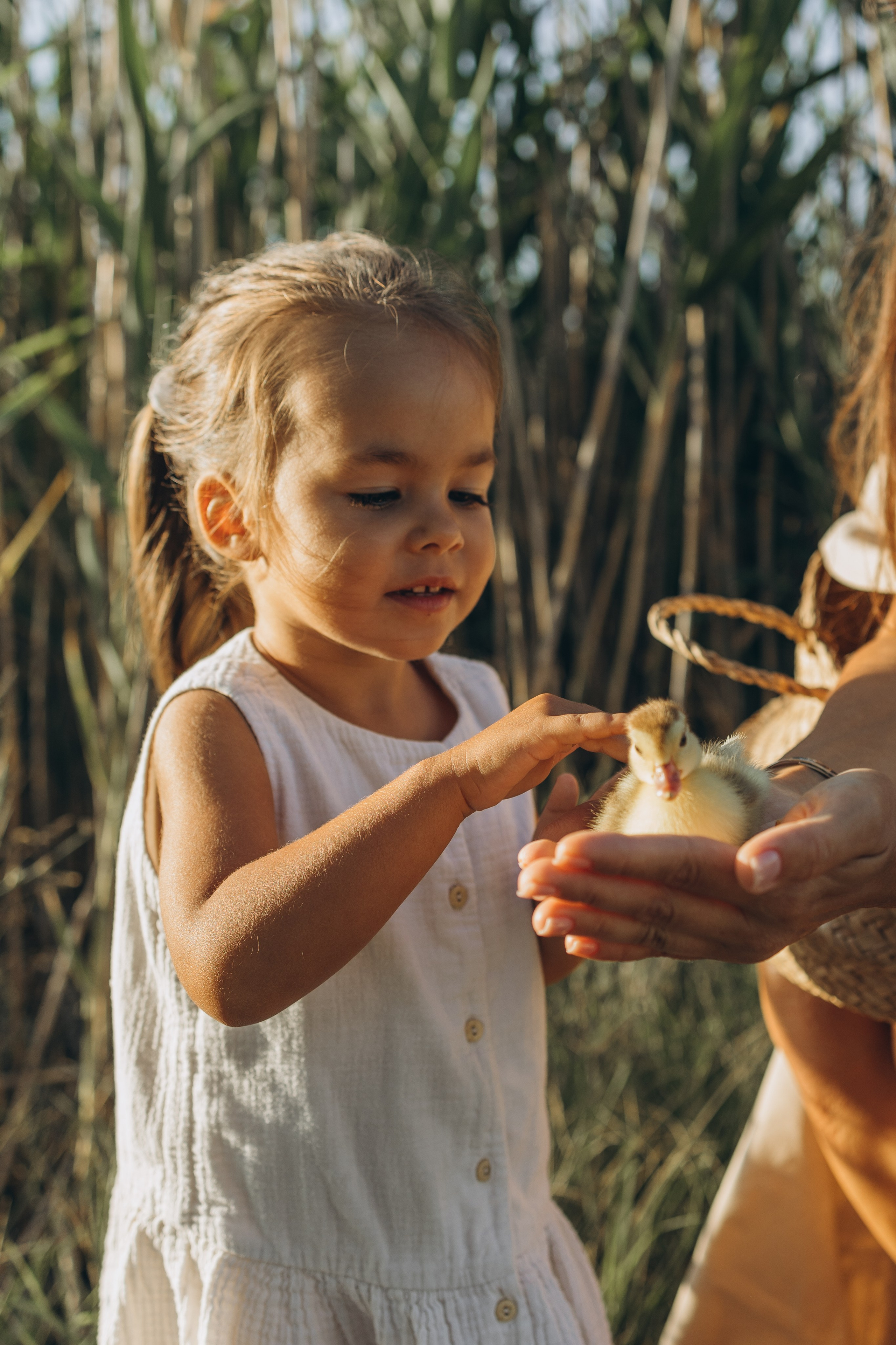 Алина и Алиса. Семейный фотограф в Москве Виктория Ястребинская