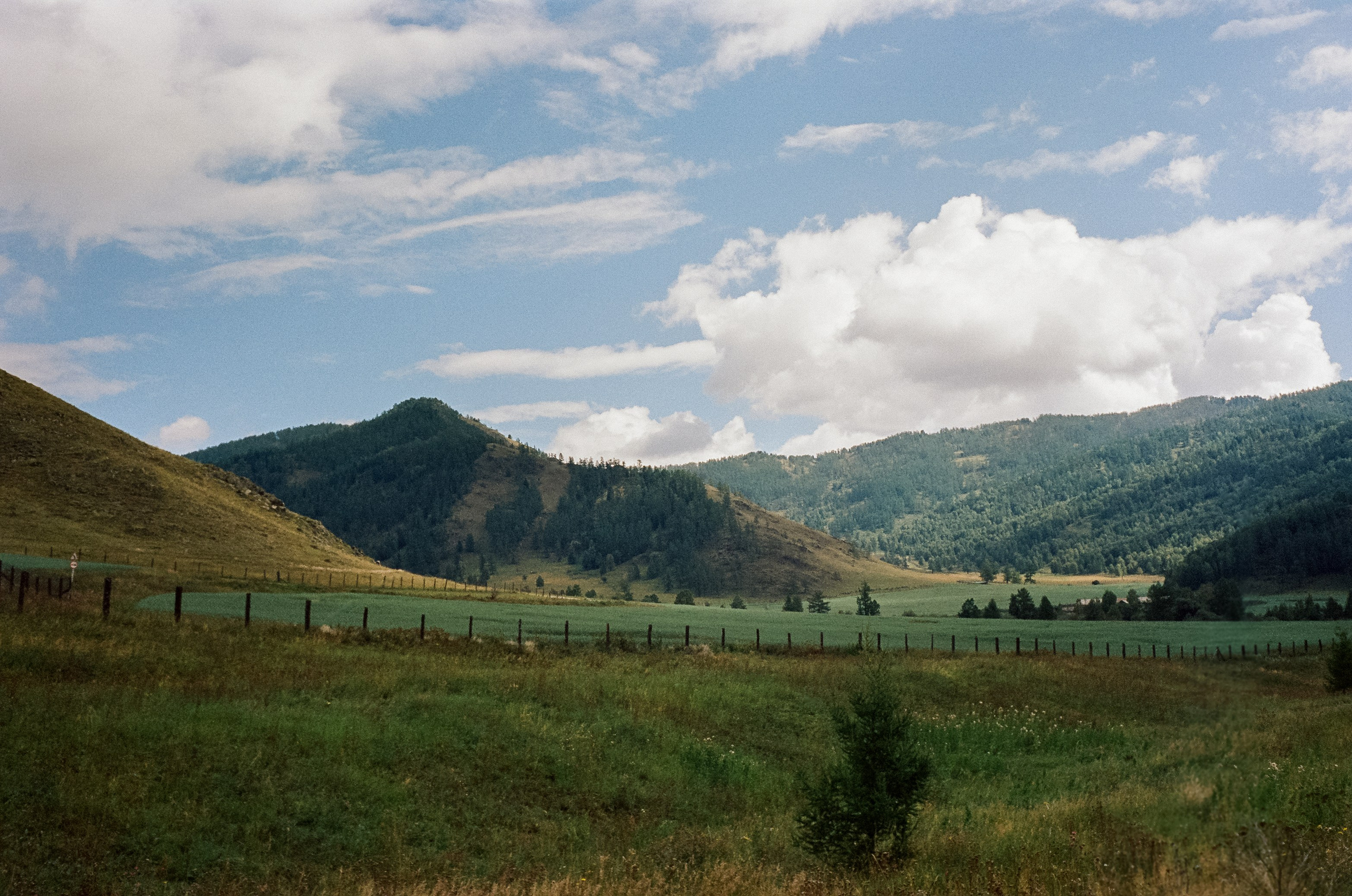 Трасса на Семинский перевал / 30 августа 2024 года