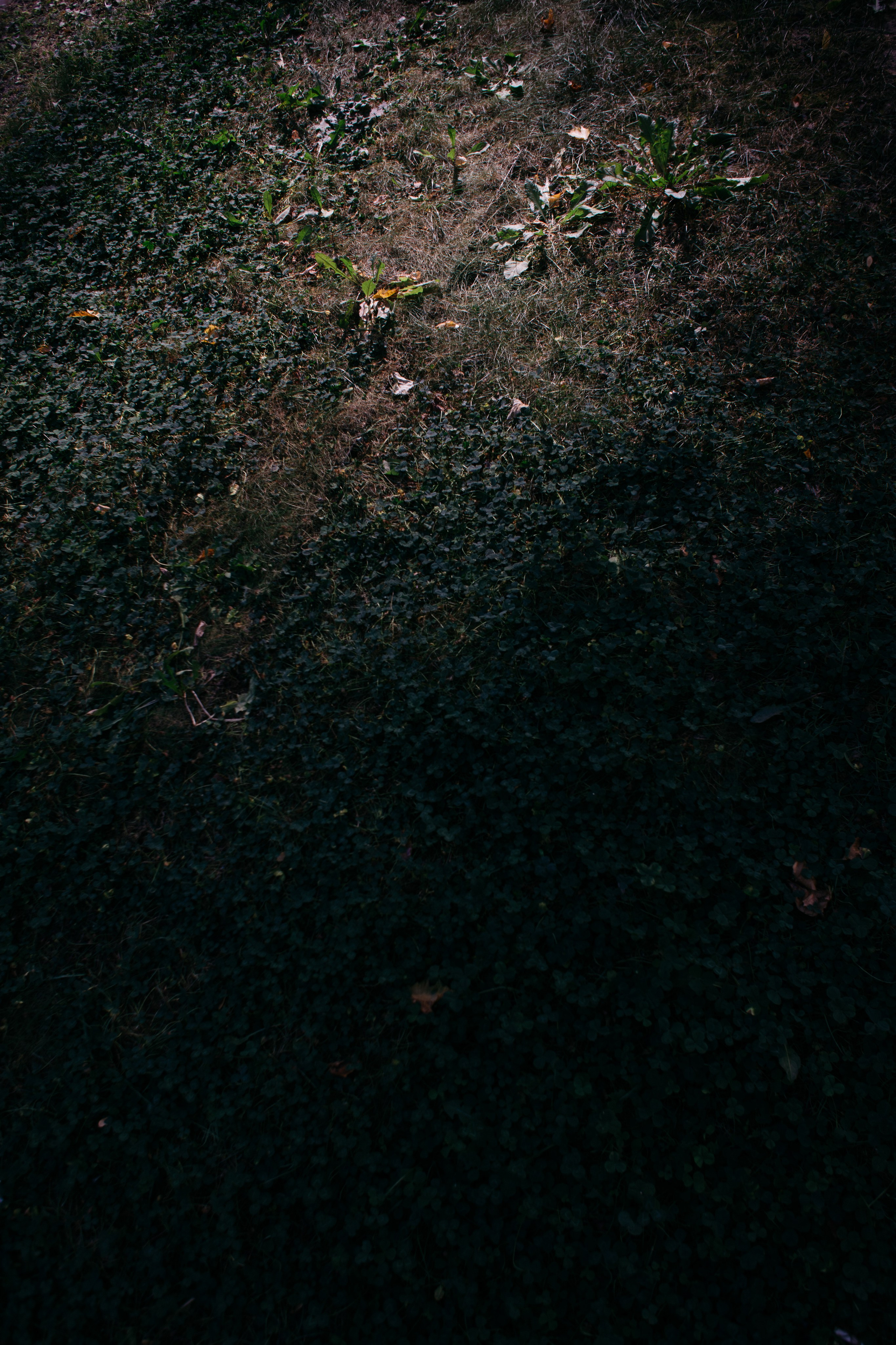 Untitled. Свадебный и Event фотограф в Москве | Андрей Губренко | Gubrenko