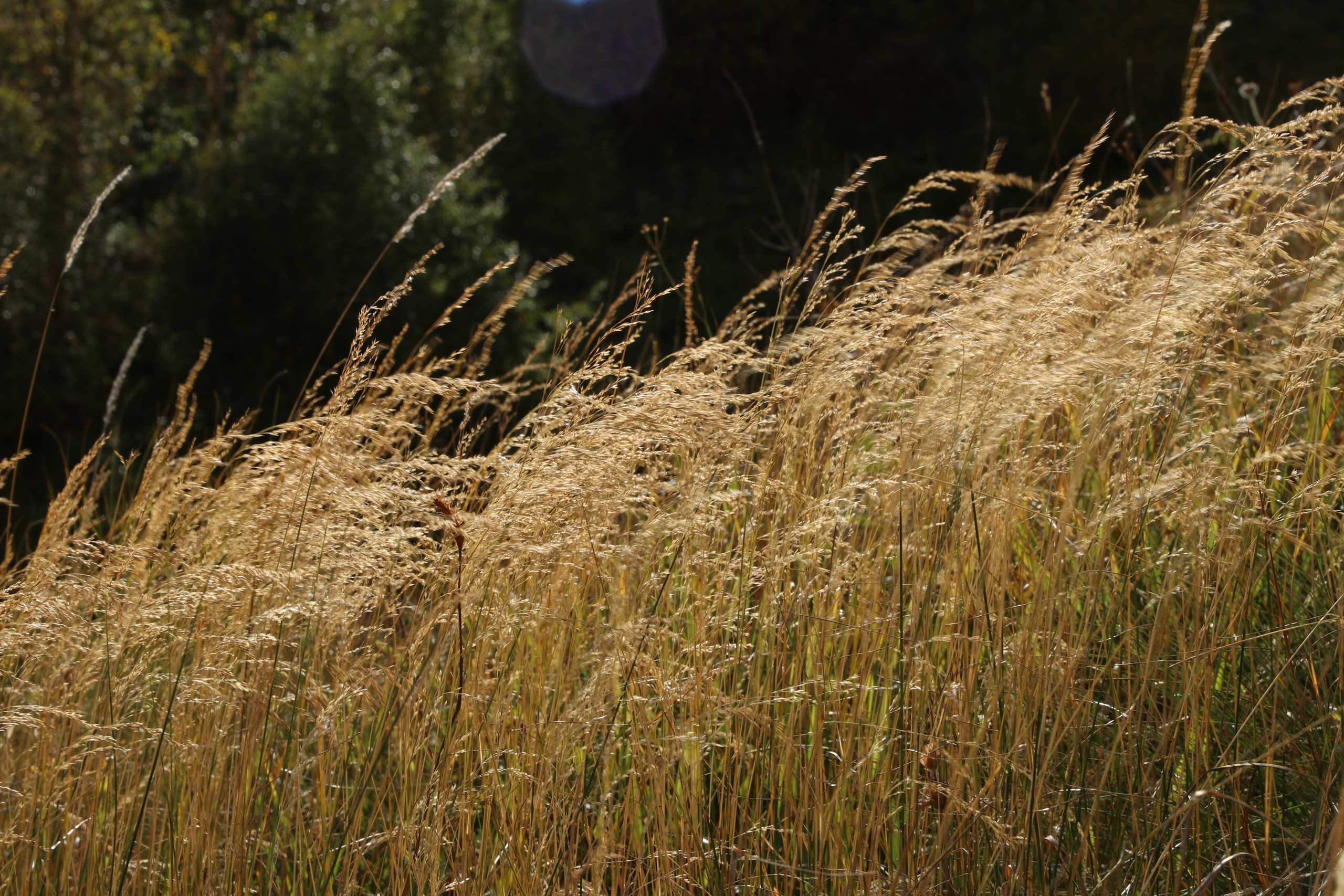 Приэльбрусье. Сентябрь 2023. Путешественник-фотограф из Санкт-Петербурга Татьяна Свистулина