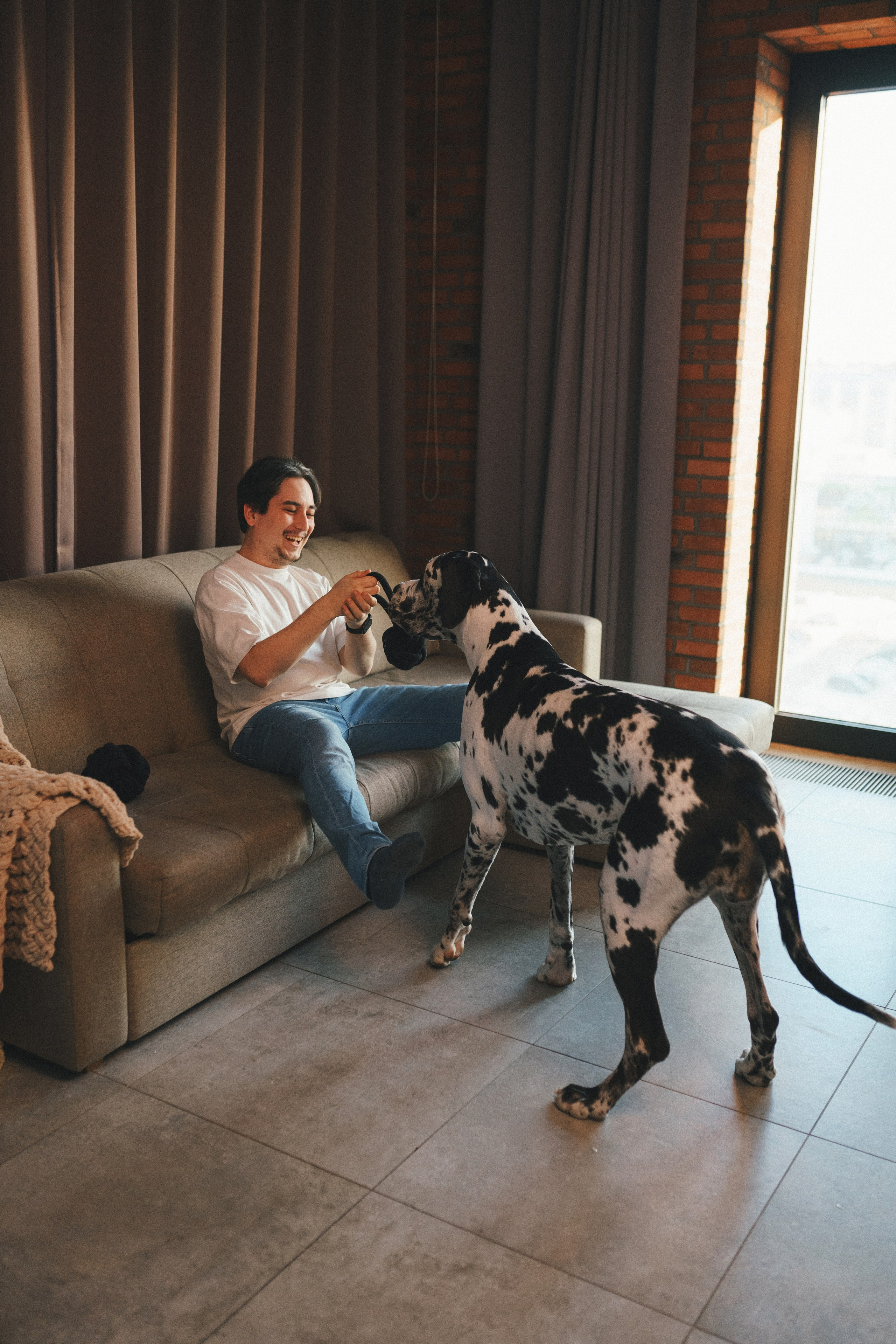 M-Pets. Фотограф анималист Осипчикова Мария