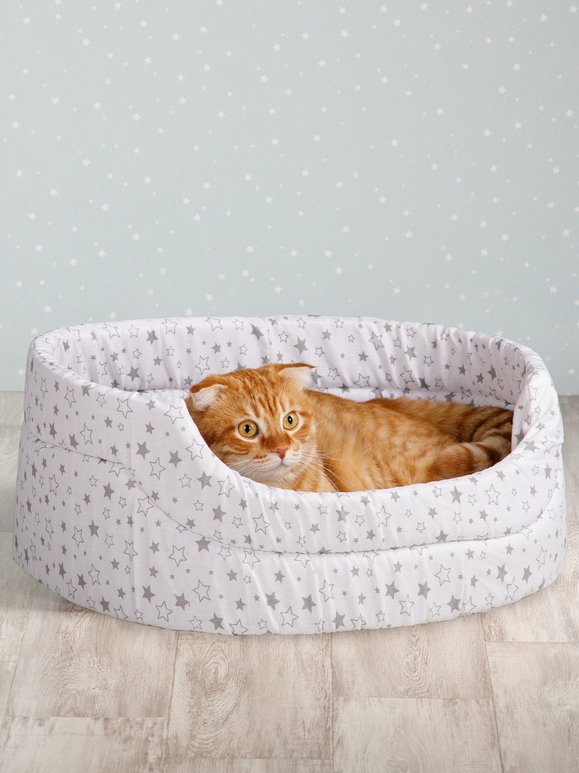 Товары для животных. Предметный фотограф Александр Трузян