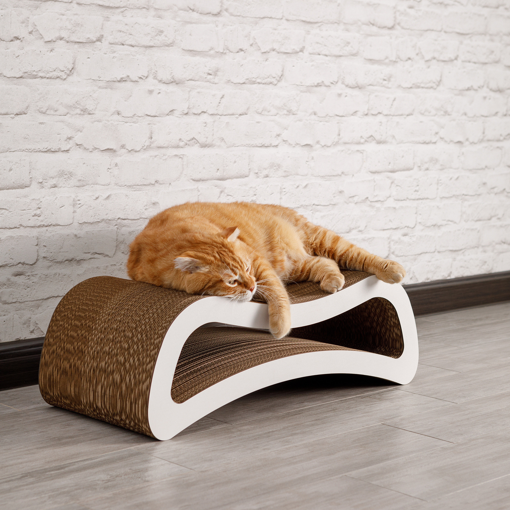 Товары для животных. Предметный фотограф Александр Трузян