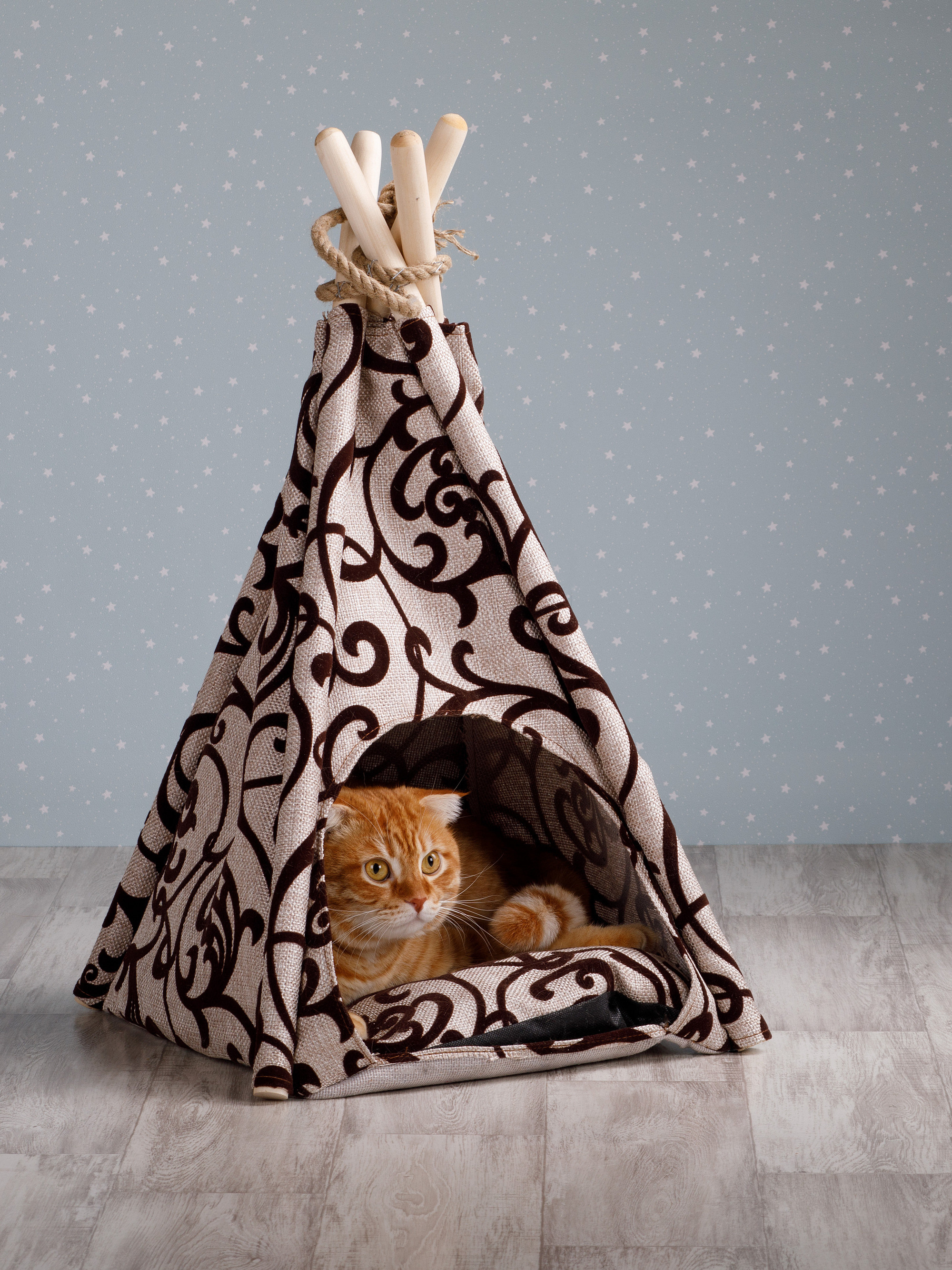 Товары для животных. Предметный фотограф Александр Трузян