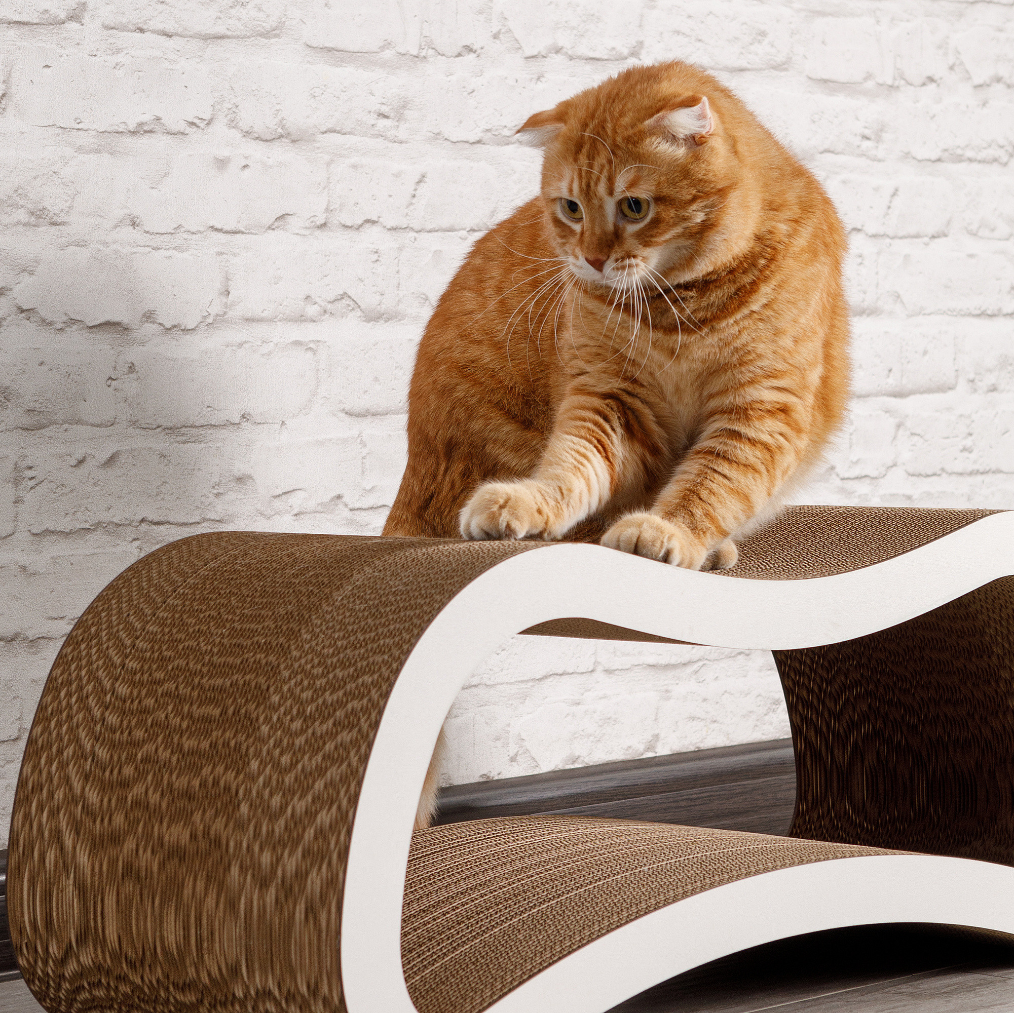 Товары для животных. Предметный фотограф Александр Трузян