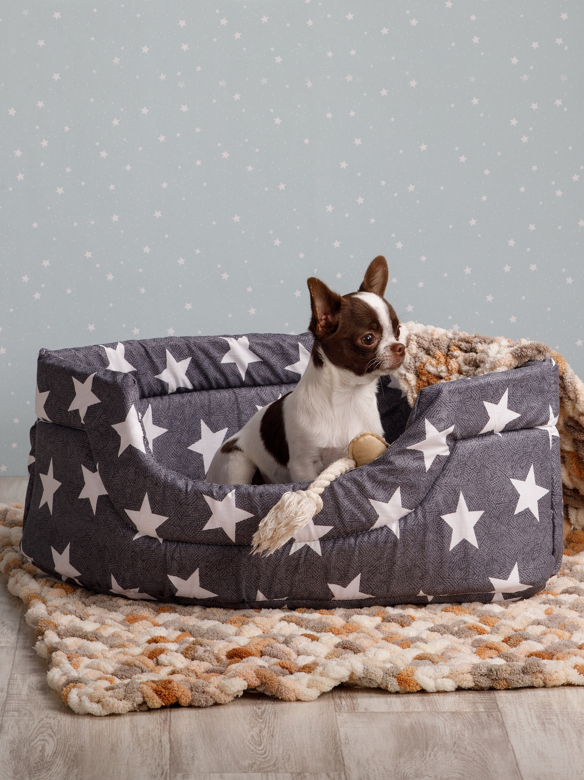 Товары для животных. Предметный фотограф Александр Трузян