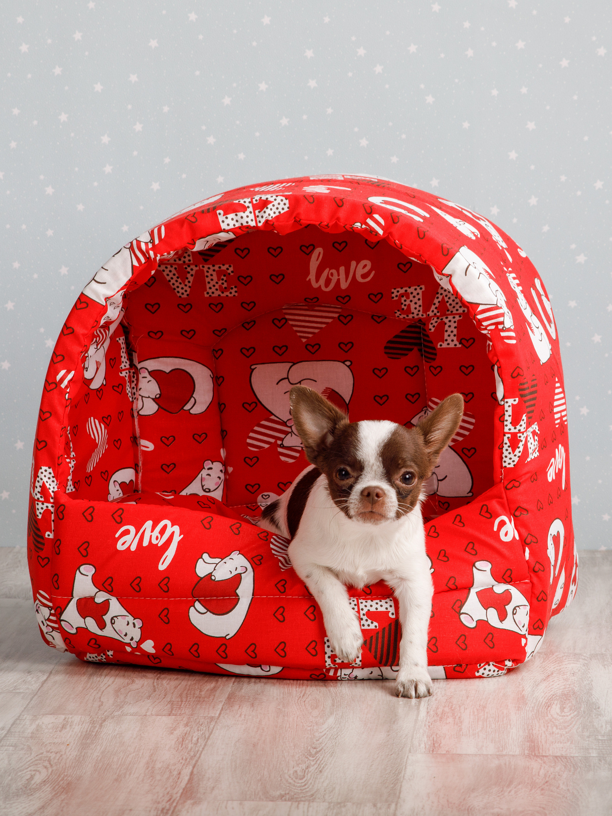 Товары для животных. Предметный фотограф Александр Трузян