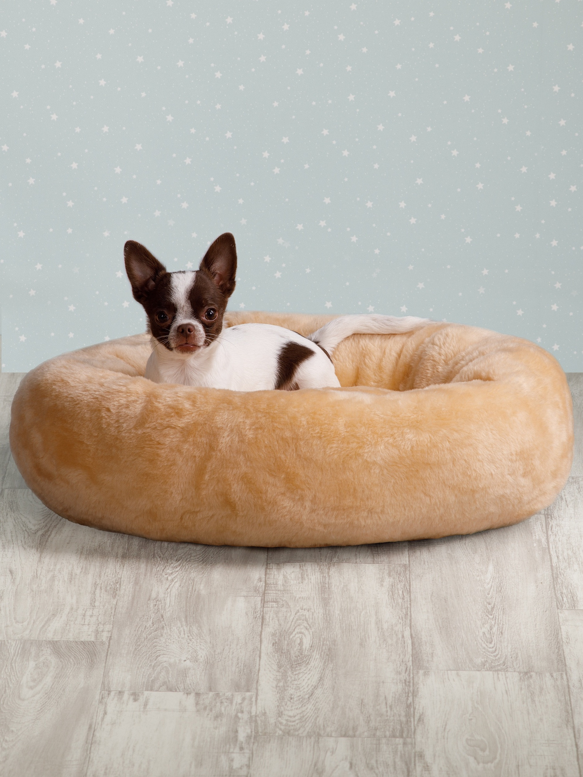 Товары для животных. Предметный фотограф Александр Трузян