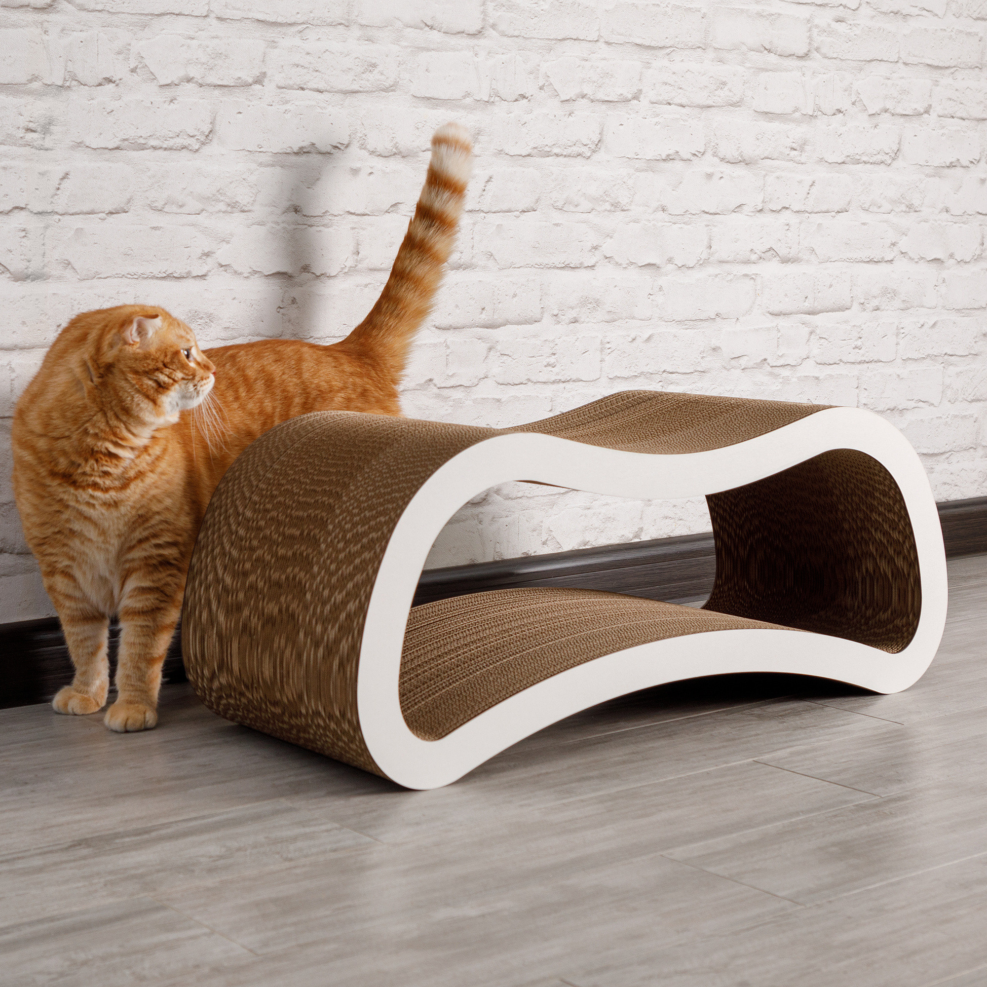 Товары для животных. Предметный фотограф Александр Трузян