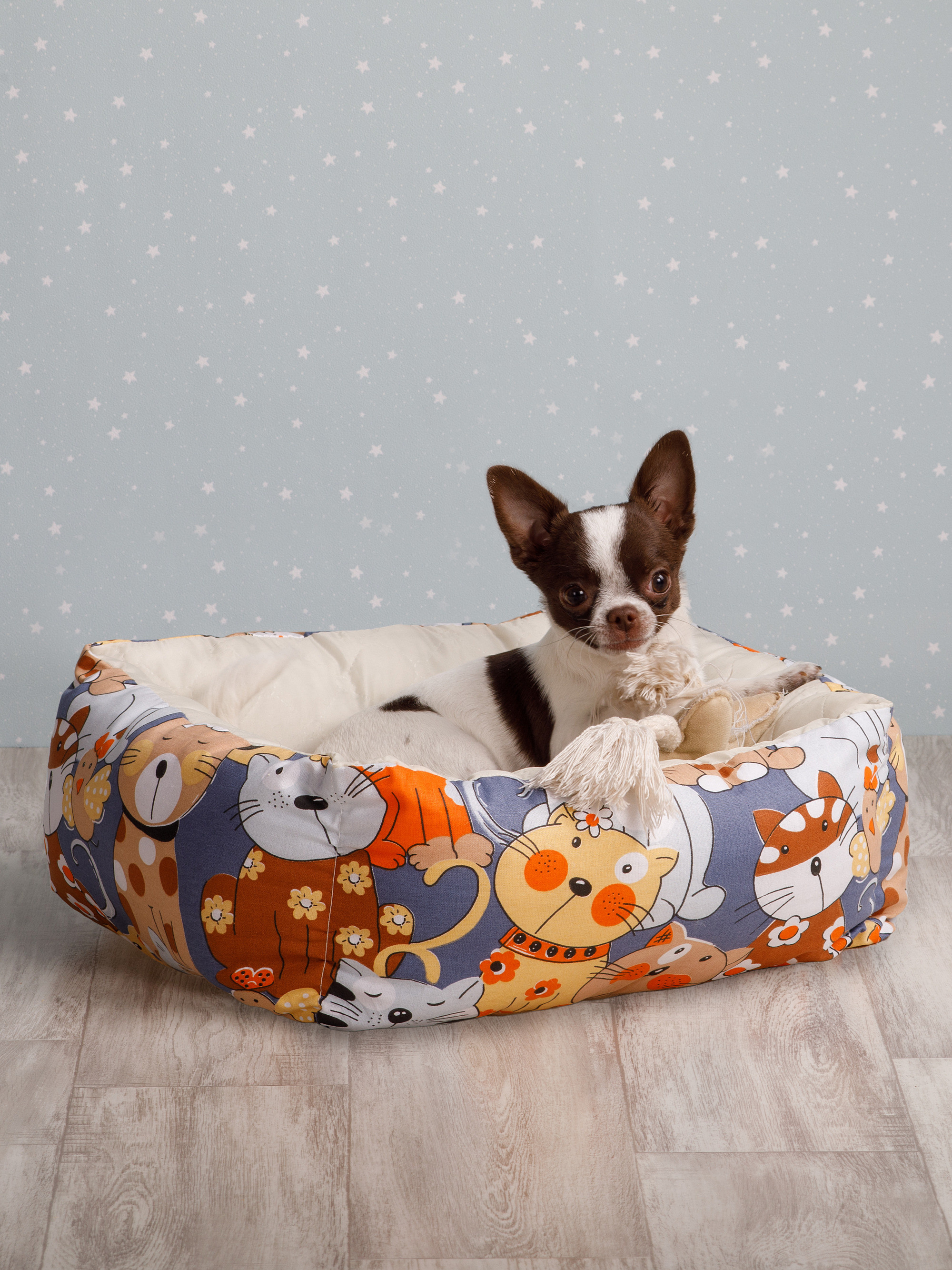 Товары для животных. Предметный фотограф Александр Трузян