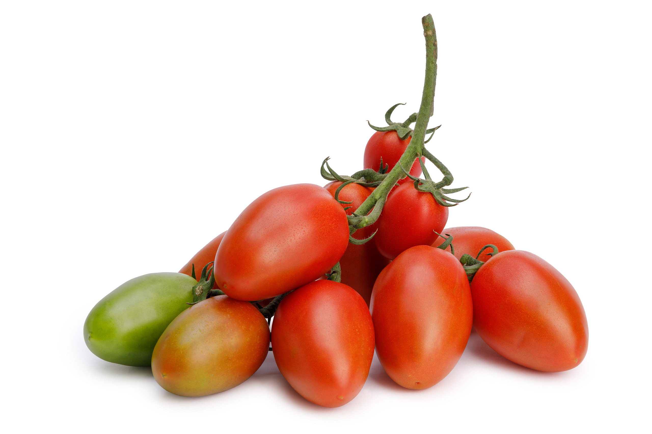 Сельхозпродукты для каталога. Предметный фотограф Александр Трузян