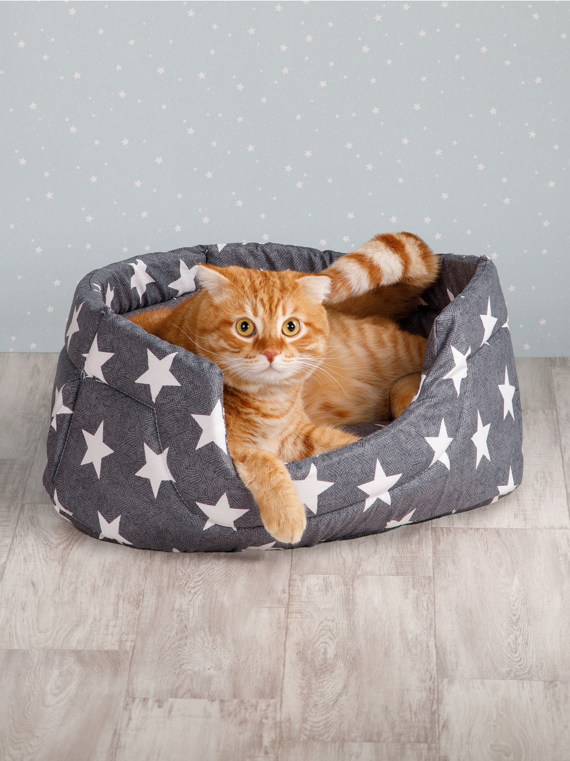 Товары для животных. Предметный фотограф Александр Трузян