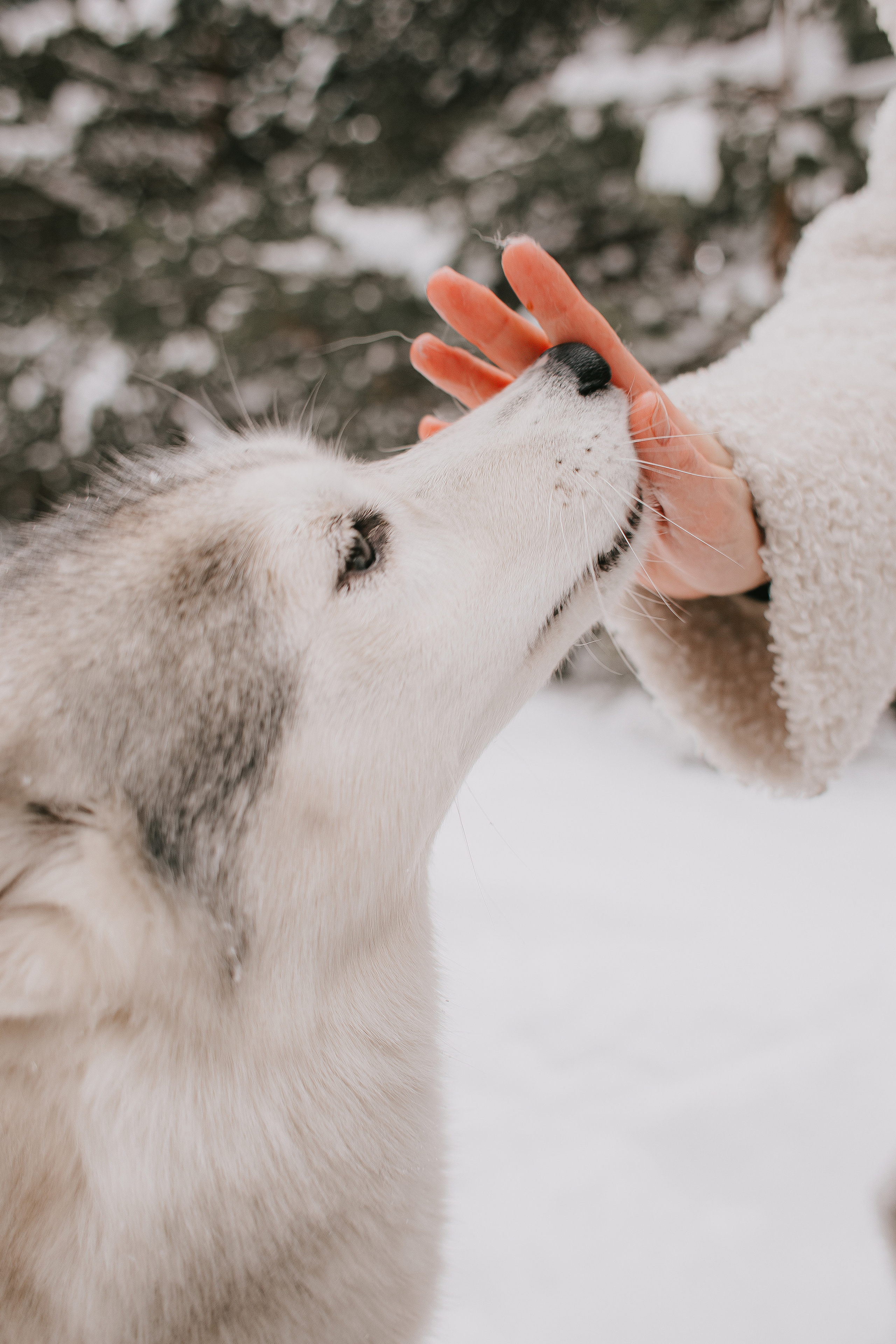 Артем и Катя. Фотограф Алексей Миронов