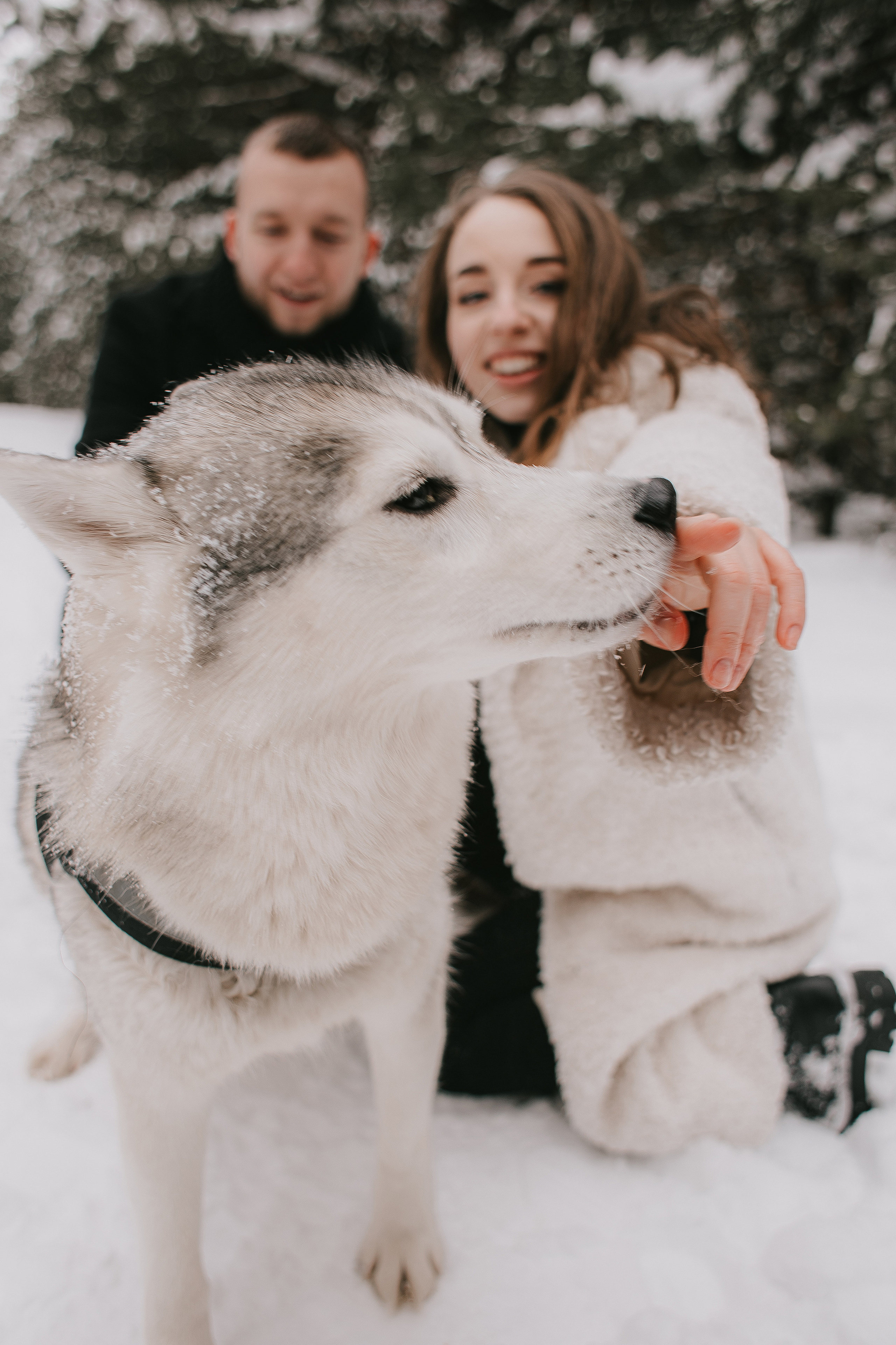 Артем и Катя. Фотограф Алексей Миронов