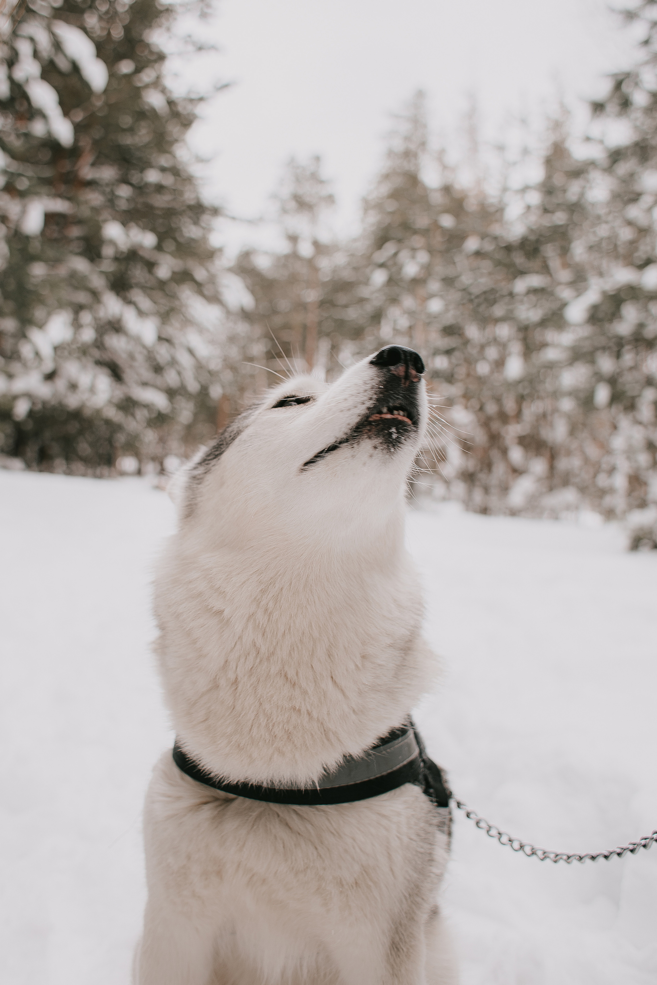 Артем и Катя. Фотограф Алексей Миронов