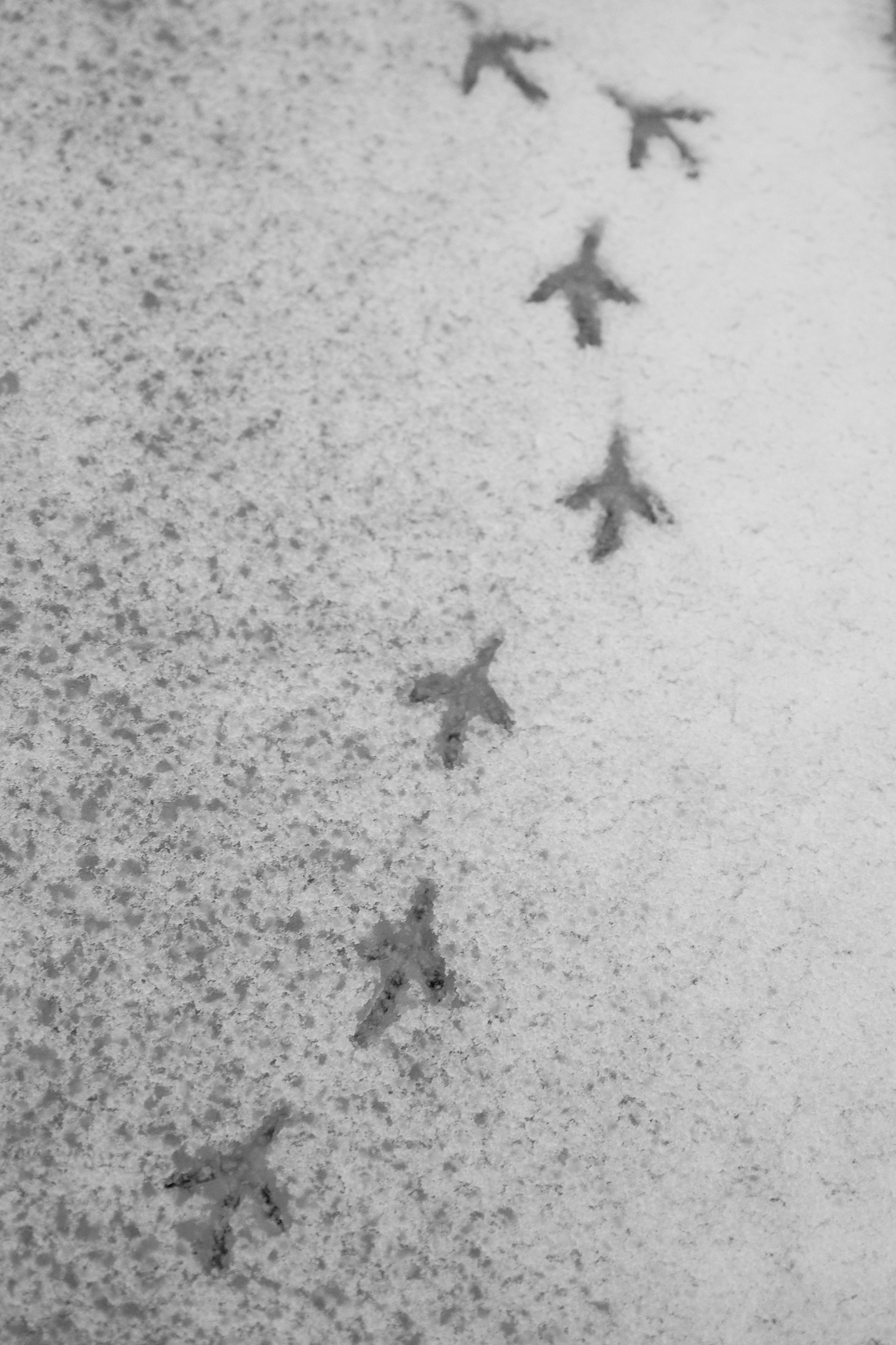 Love story Глеб и Ульяна. Фотограф Екатеринбург. Свадебная, семейная и портретная фотосъемка