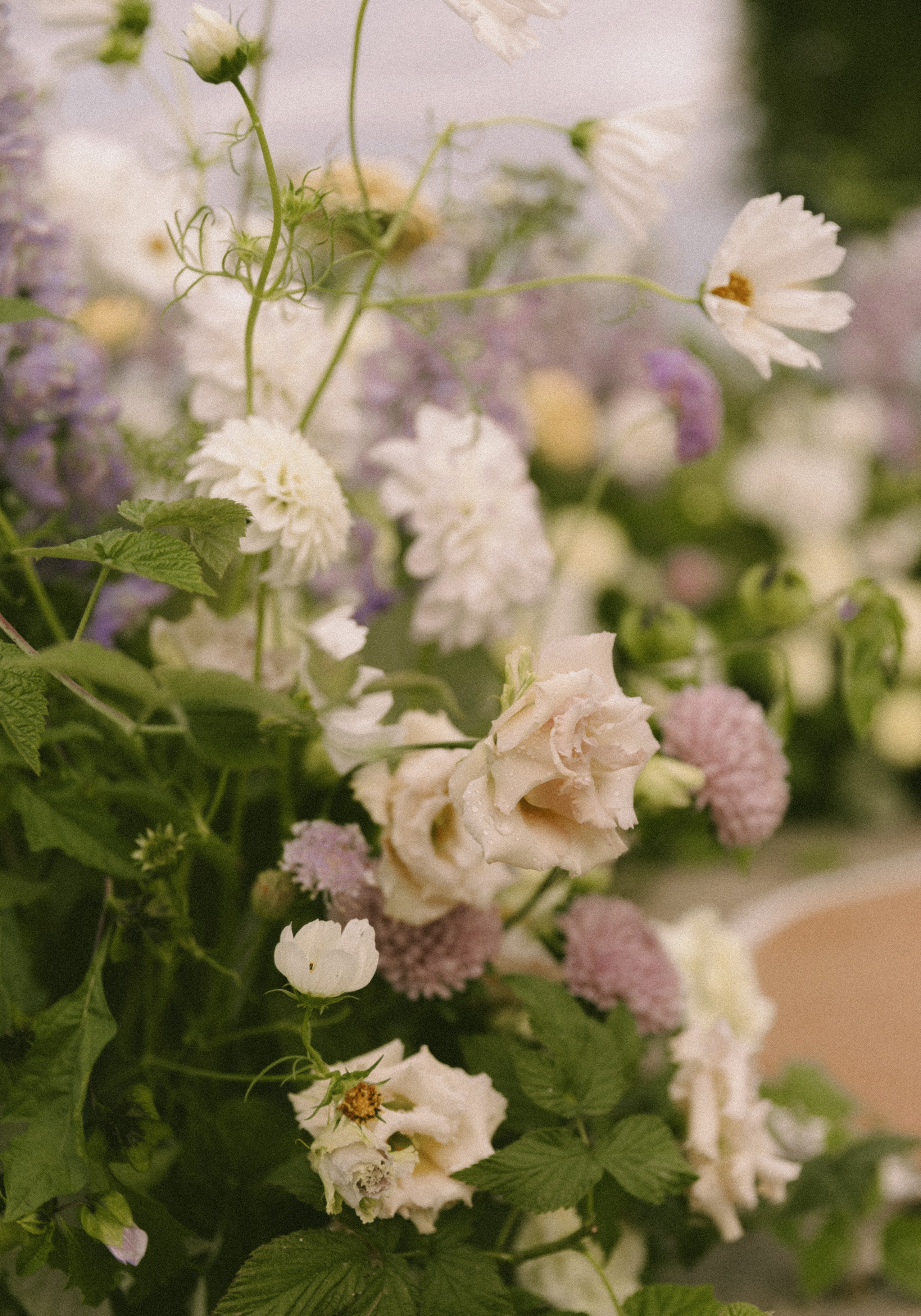 Держи меня крепче