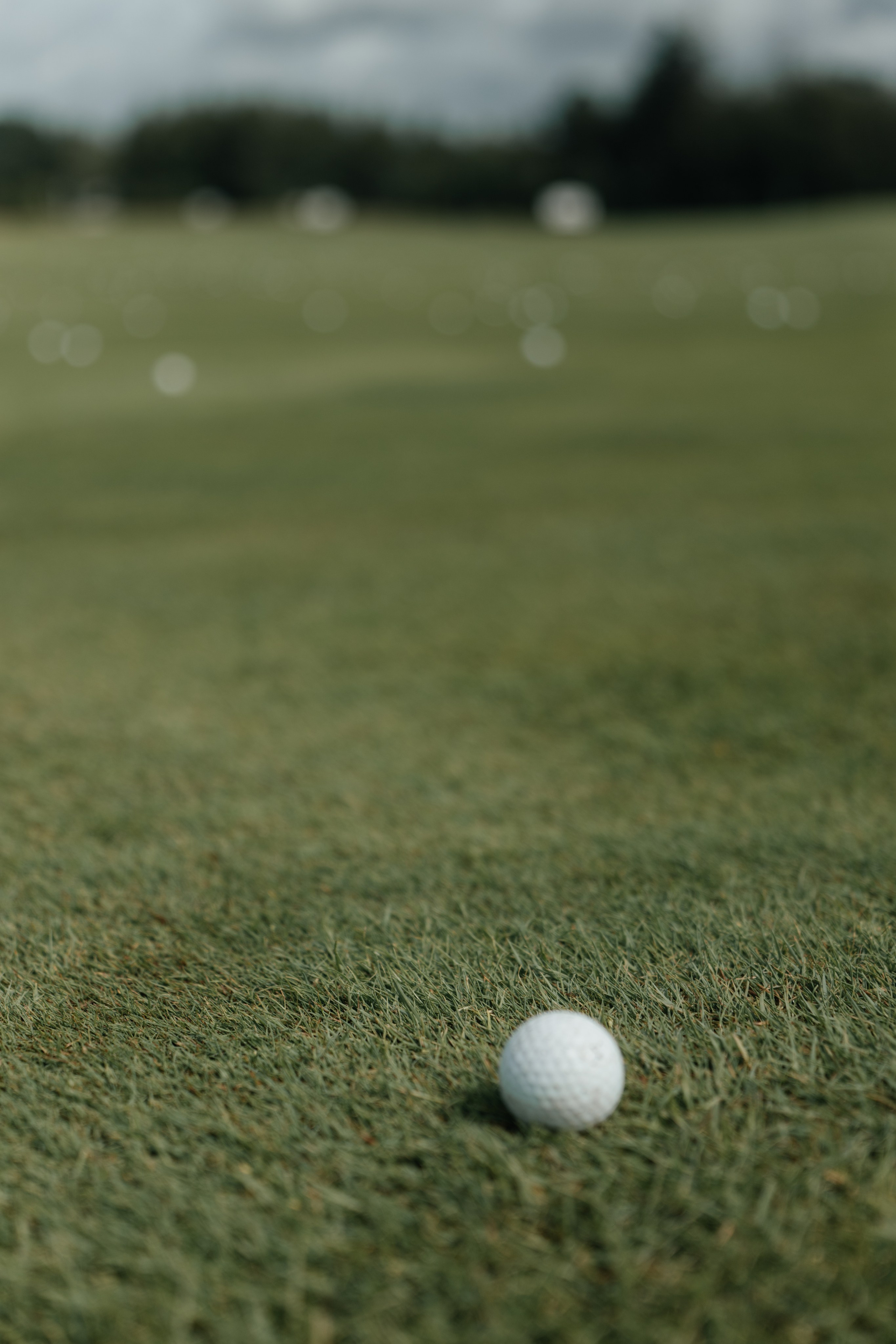 Leonid & Christina. Свадебное ФОТО & ВИДЕО Москва/Липецк