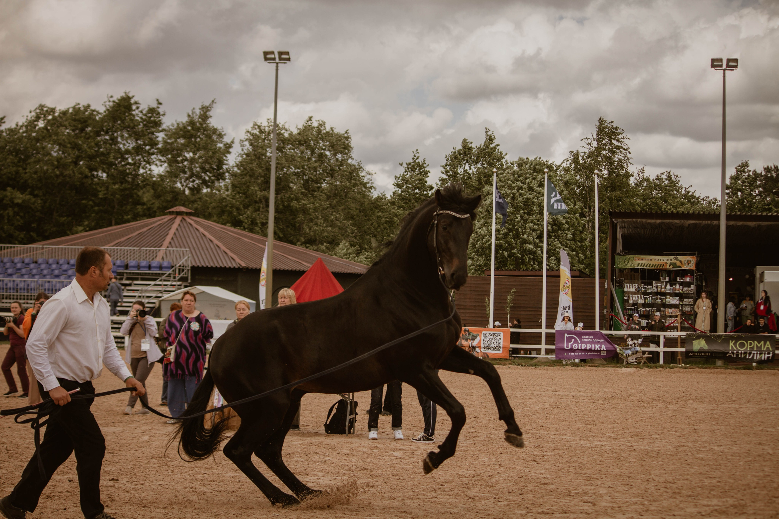 ИППОСФЕРА — Международная конная выставка. Создадим шедевр? Виталина и её фотоискусство