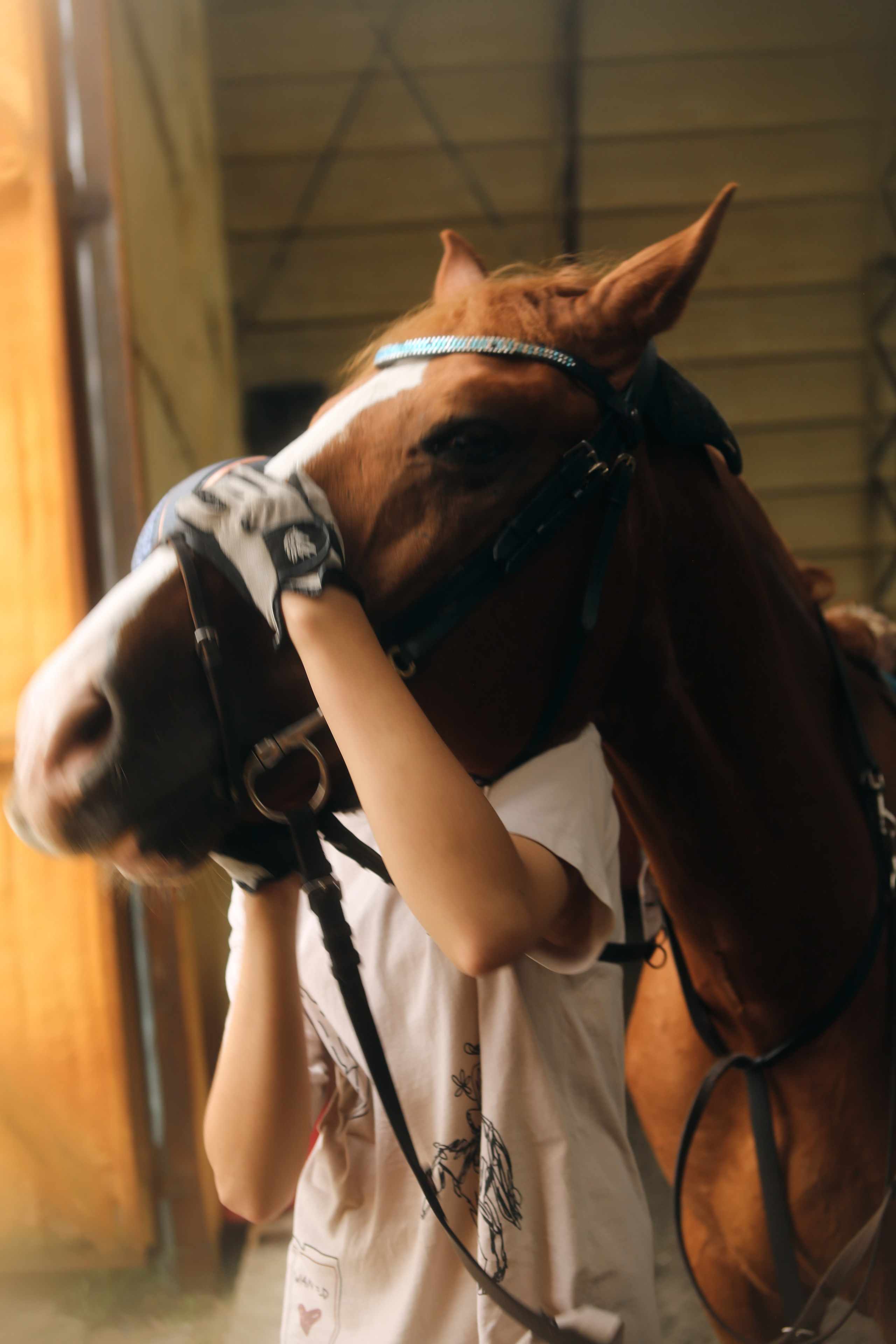 In a horse club NIMB. Фотограф Антонина Гудкова