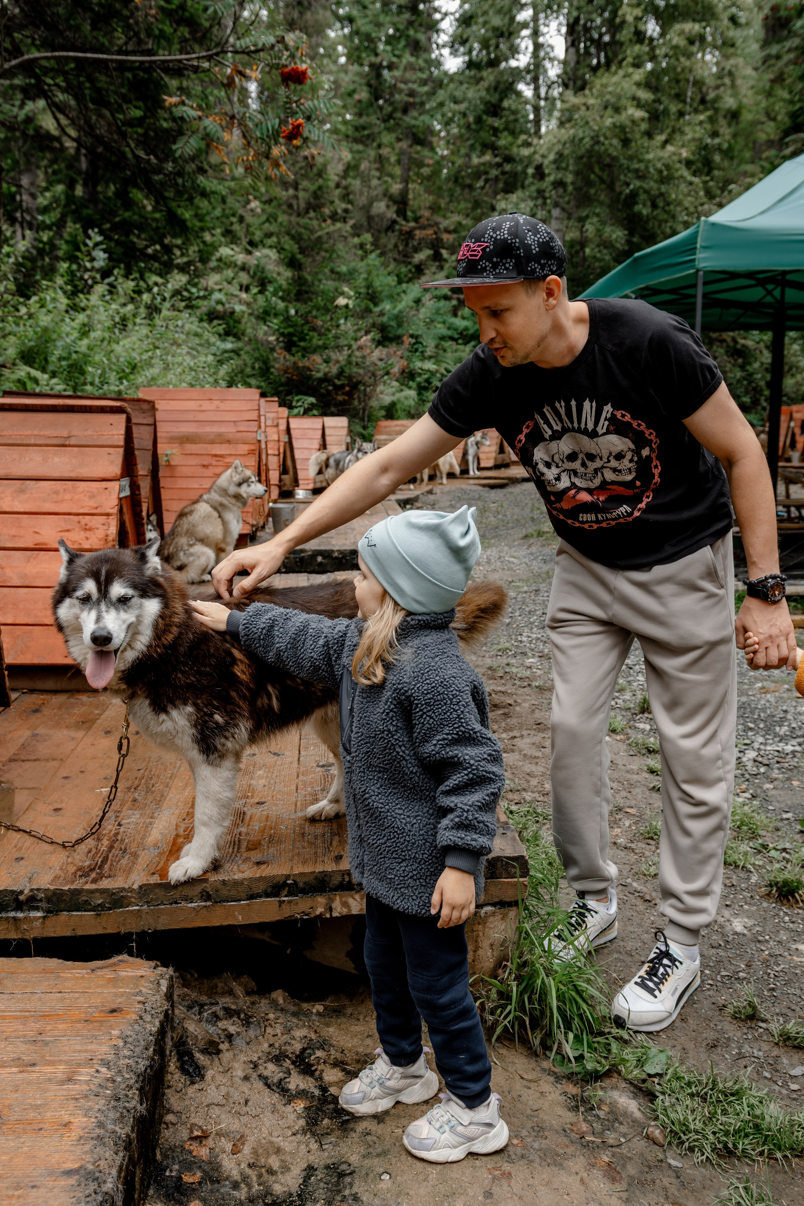 Дог-треккинг