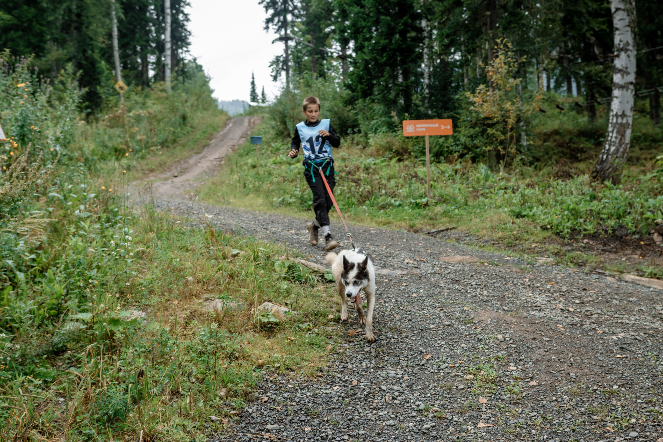 Дог-треккинг