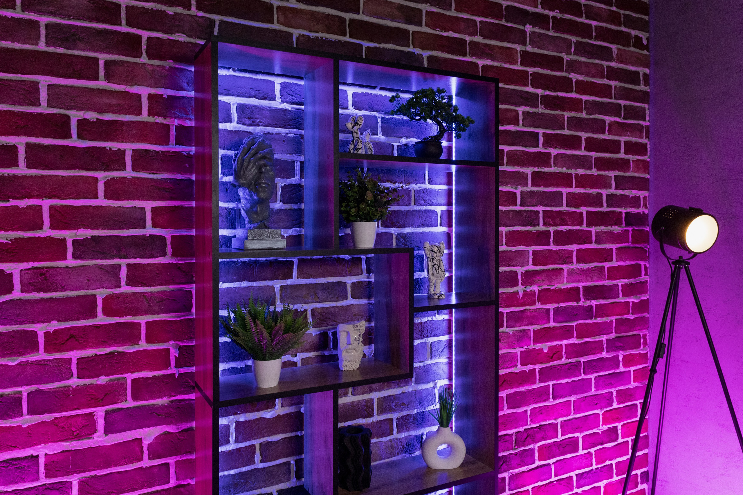 LOFT. Подкасты и прямые эфиры Сочи